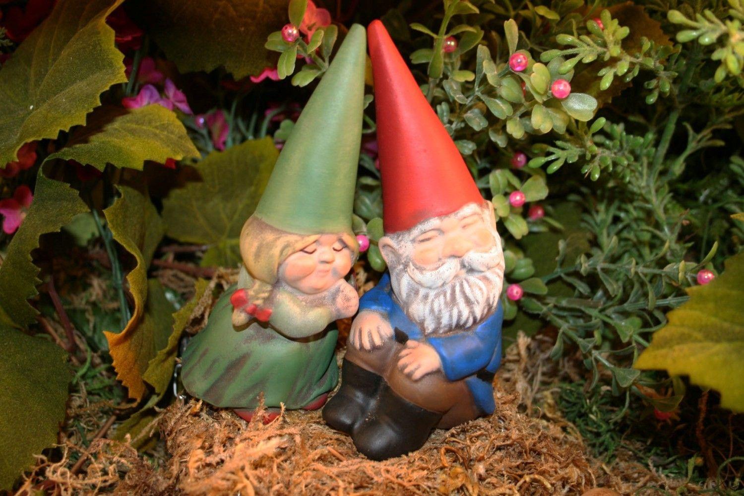 Garden Gnome Wallpapers - Top Free Garden Gnome Backgrounds ...