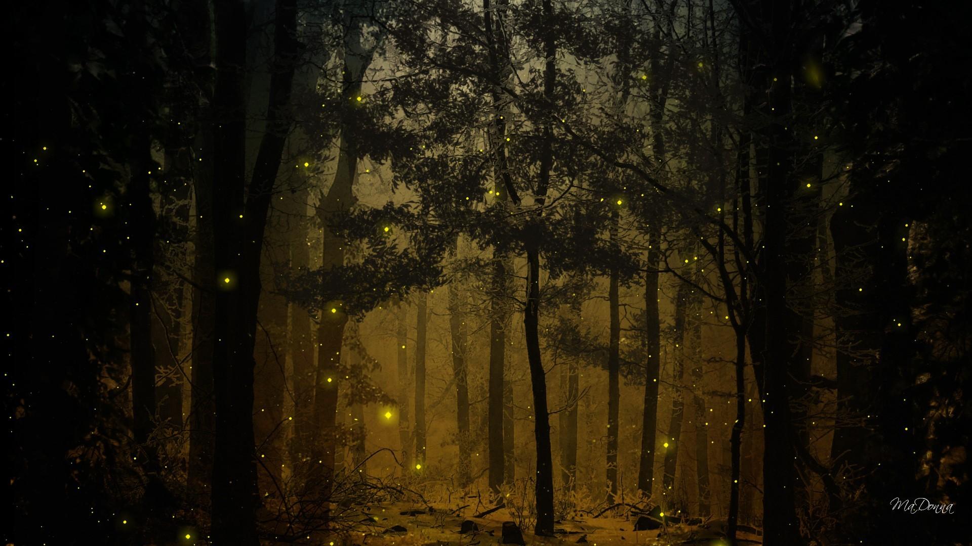 1920x1080 Fireflies Wallpaper. Fireflies Night Wallpaper, The Good Dinosaur Fireflies Wallpaper and Columbia Fireflies Wallpaper