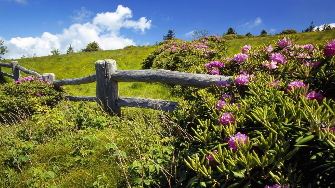 1366x768 Free Farm Wallpaper