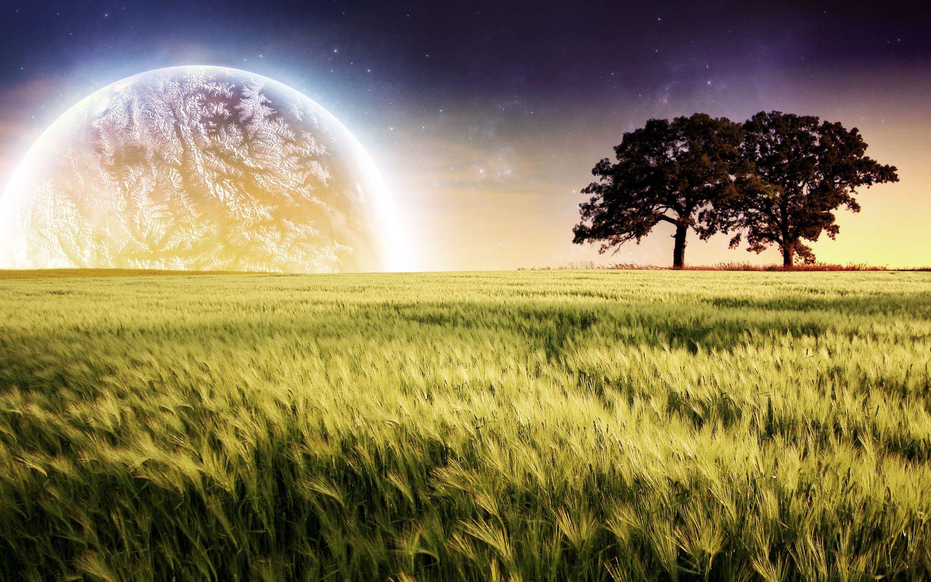 1920x1200 Wallpaper 4k Planet Farm Trees Landscape Aberto, Farm, Landscape, Planet, Trees