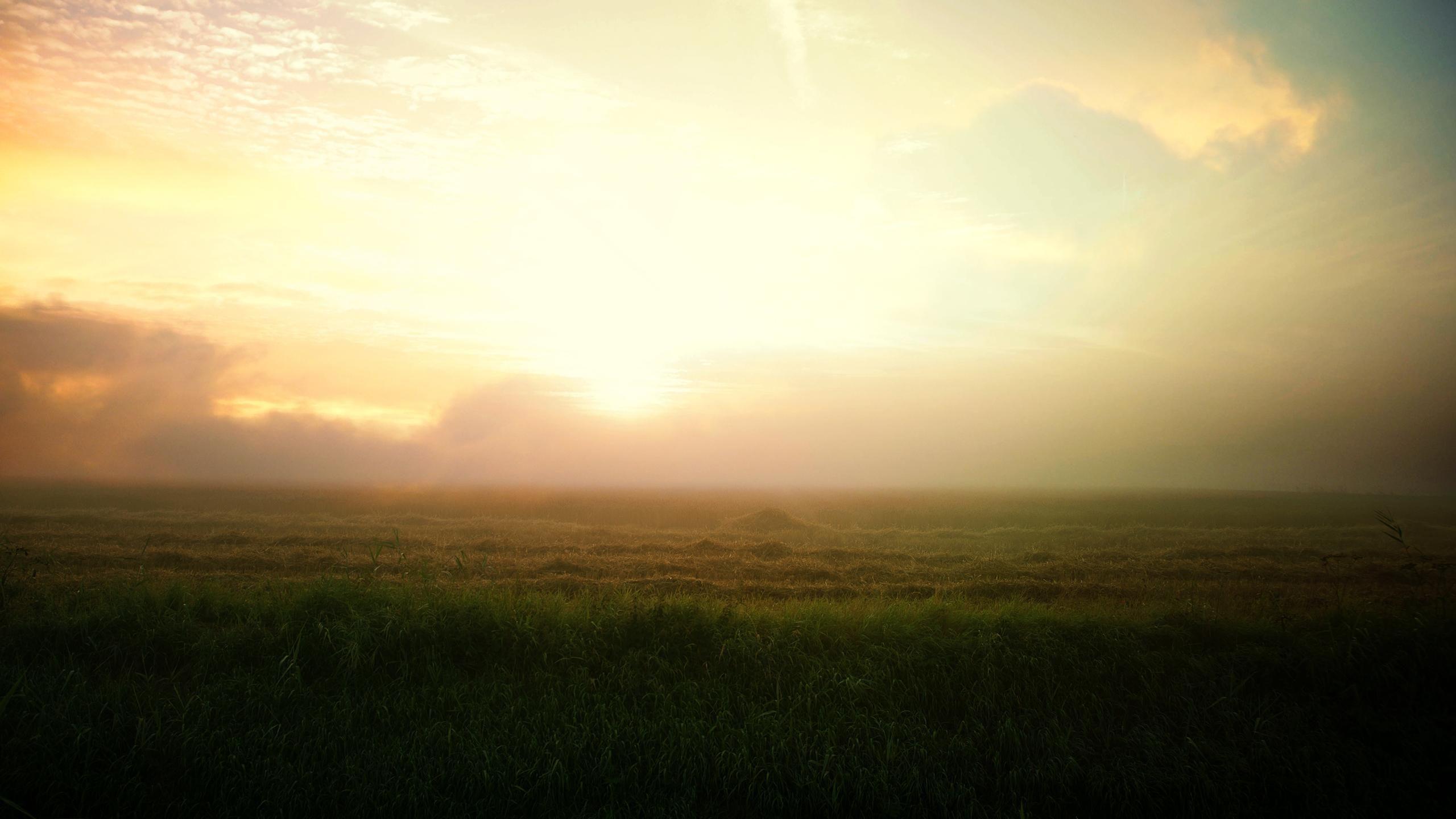 2560x1440 2K Sunrise Farm Landscape Nature Landscapes Wallpaper 99NatureWallpaper