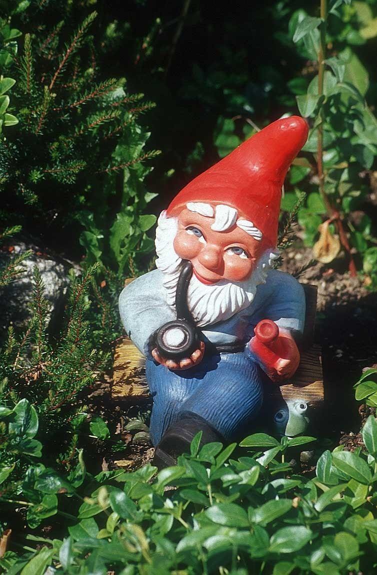Garden Gnome Wallpapers - Top Free Garden Gnome Backgrounds