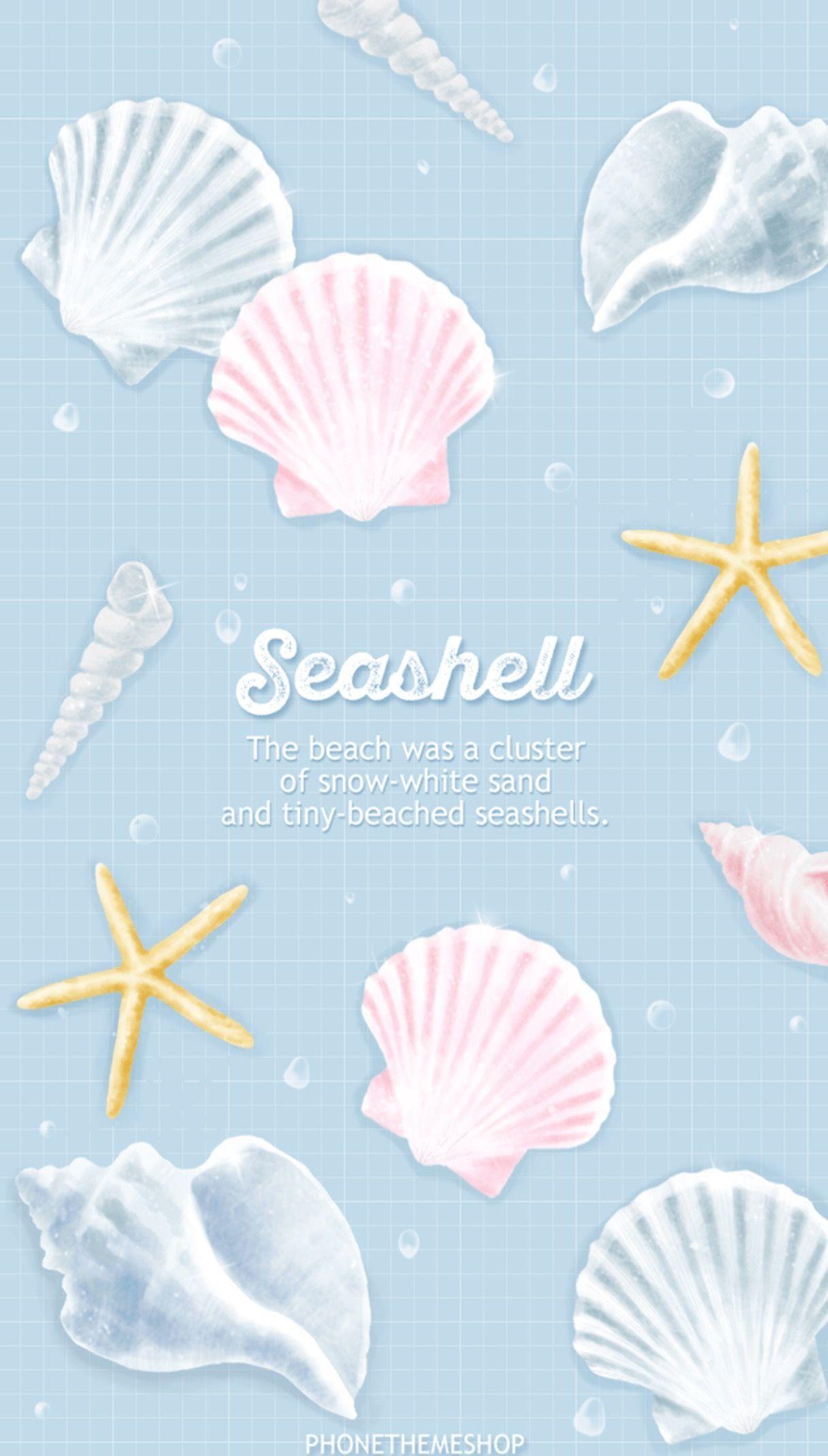 HD sea shells wallpapers  Peakpx