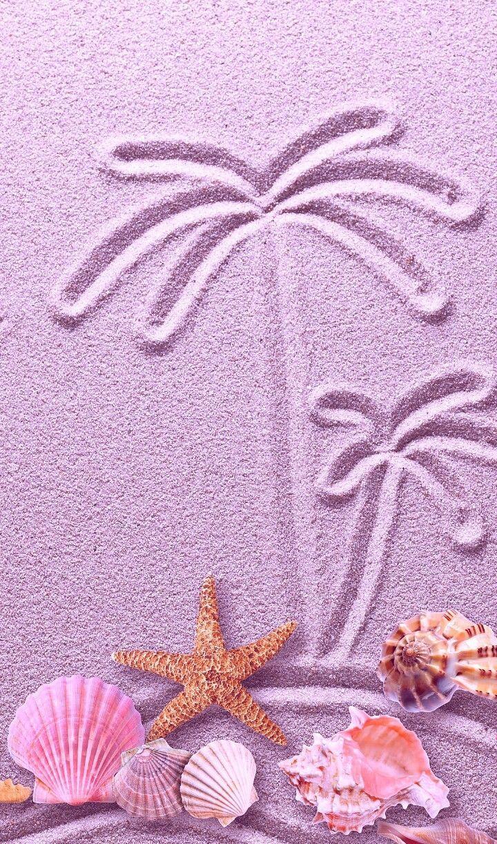 Pink Seashell Wallpapers - Top Free Pink Seashell Backgrounds