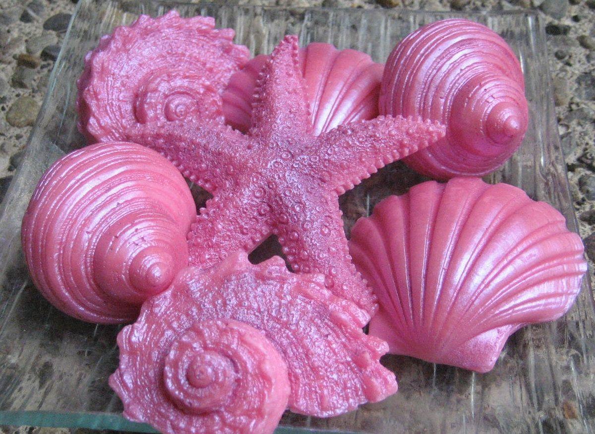 Pink Seashell Wallpapers - Top Free Pink Seashell Backgrounds