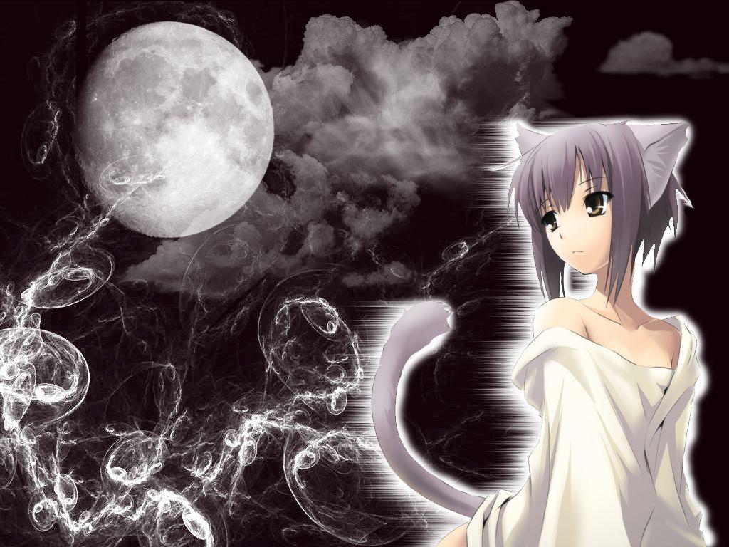1024x768 Neko Girl Wallpaper