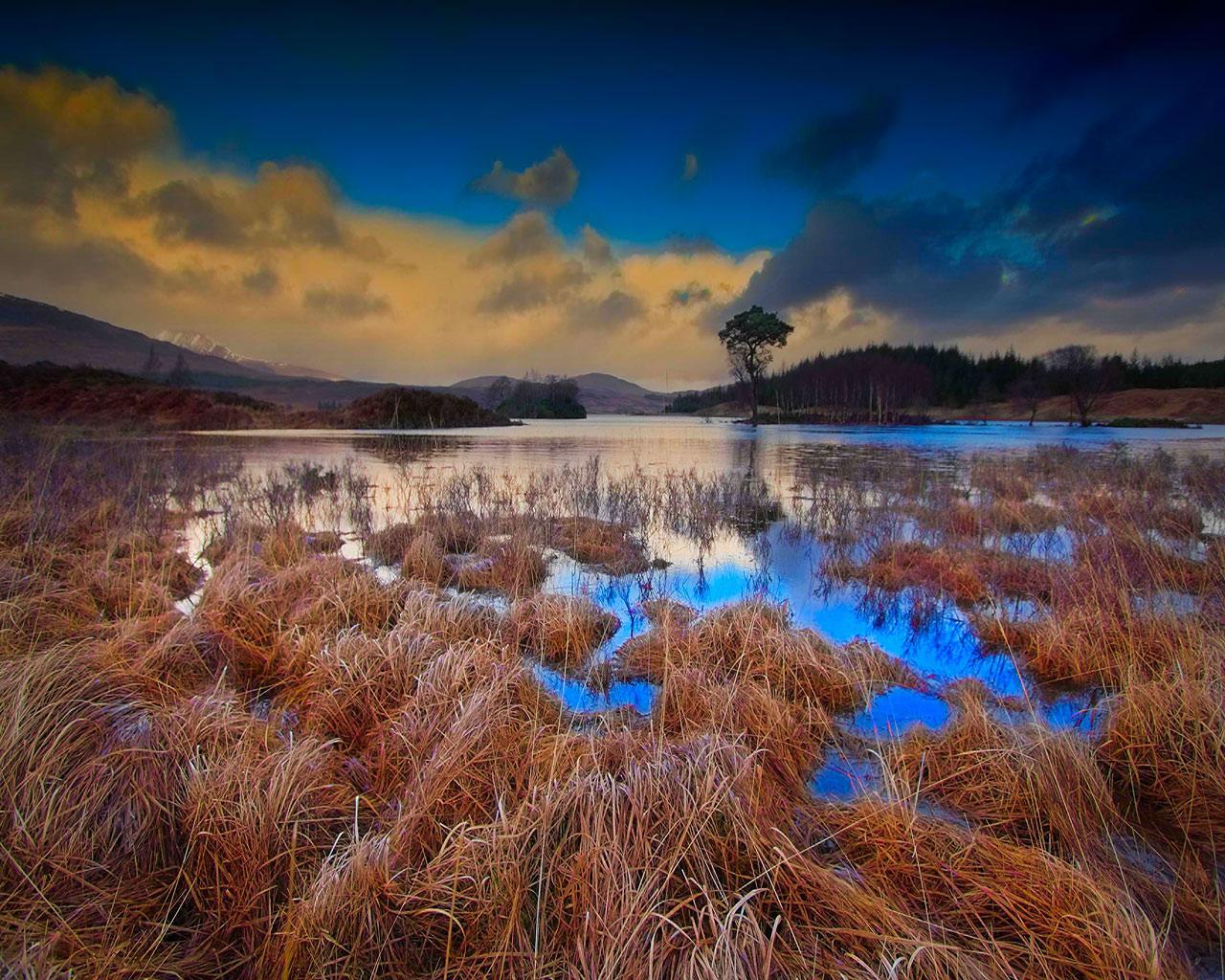 1280x1024 Live Scottish Wallpaper (46), PC, BsnSCB Gallery