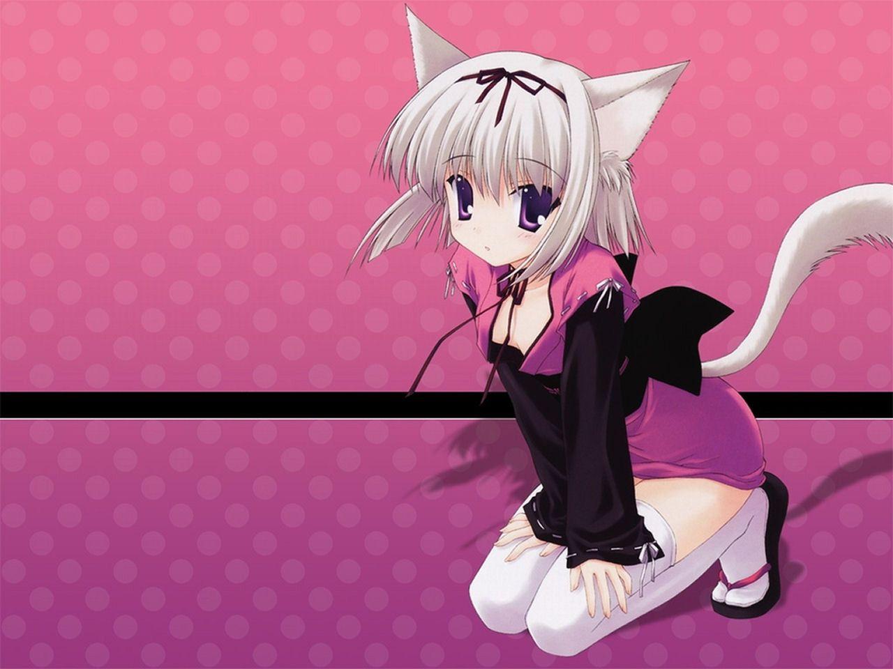 1280x960 Anime neko wallpaper