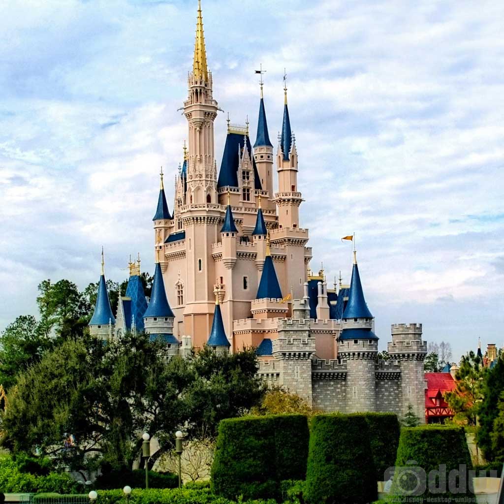 1024x1024 Free download Disney World 496 HD Wallpaper in Cartoons Imagecicom [1024x1024] for your Desktop, Mobile & Tablet. Explore Walt Disney World HD Wallpaper. Walt Disney World HD Wallpaper, Walt