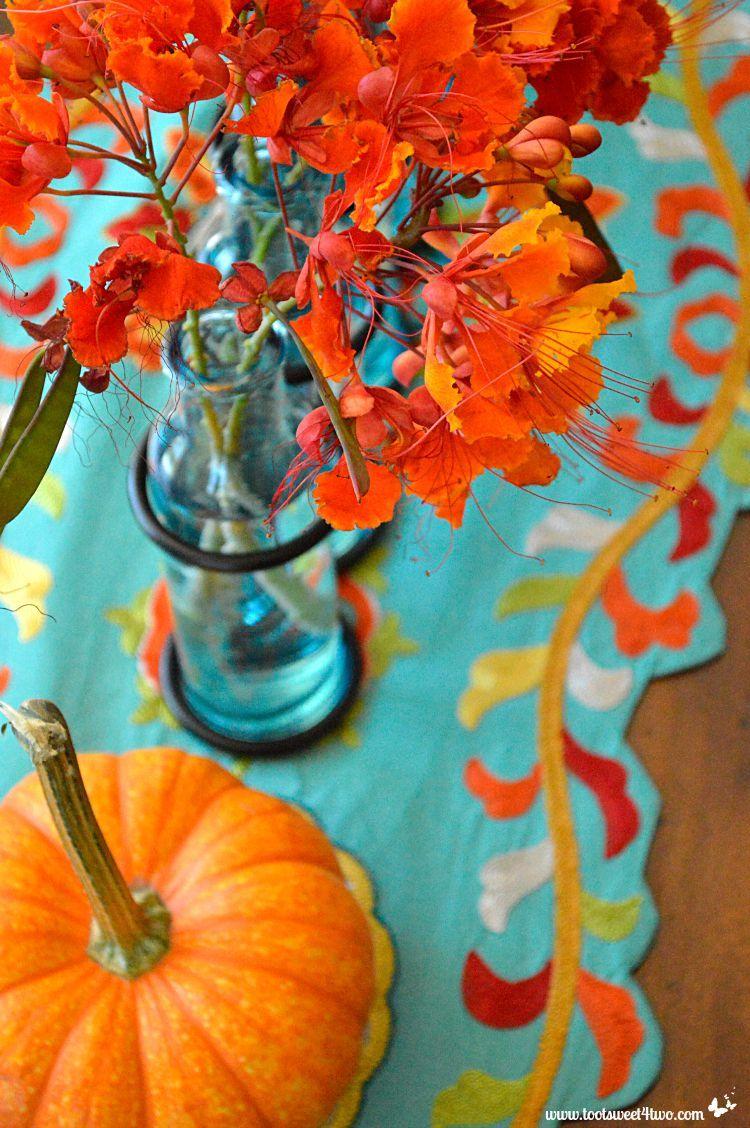 750x1128 Turquoise Orange wallpaper, Pattern, HQ Turquoise Orange pictureK Wallpaper 2019