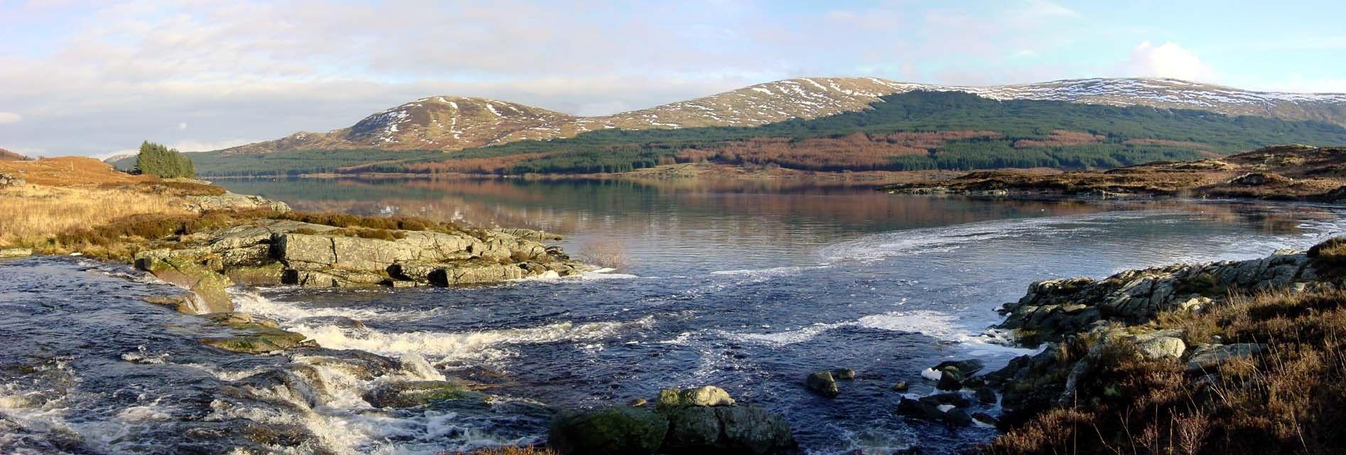 1894x640 Scotland Tag wallpaper: Forest Scotland Wallpaper Background
