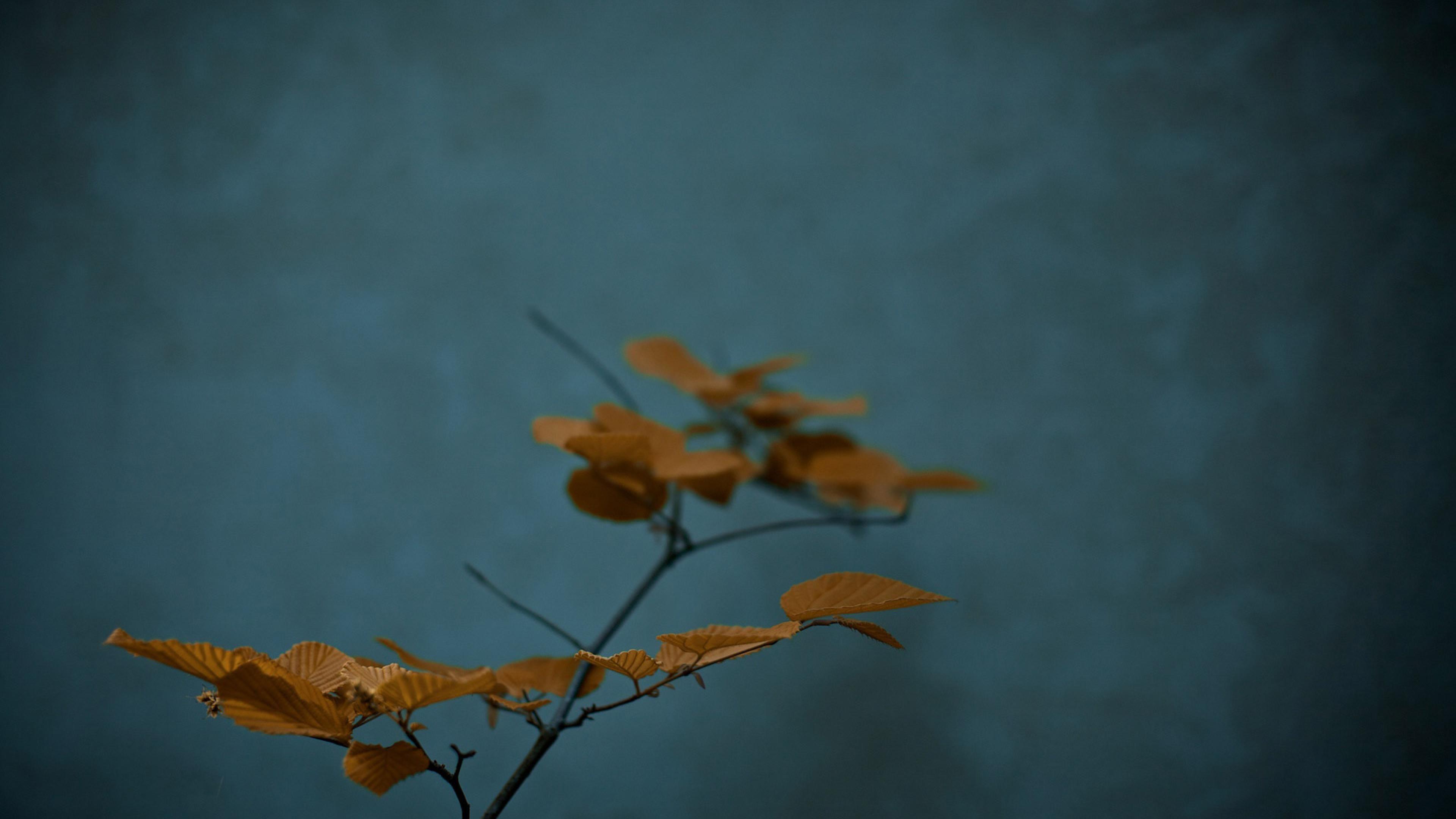 3840x2160 zen 1920 more orange and teal but close pvy