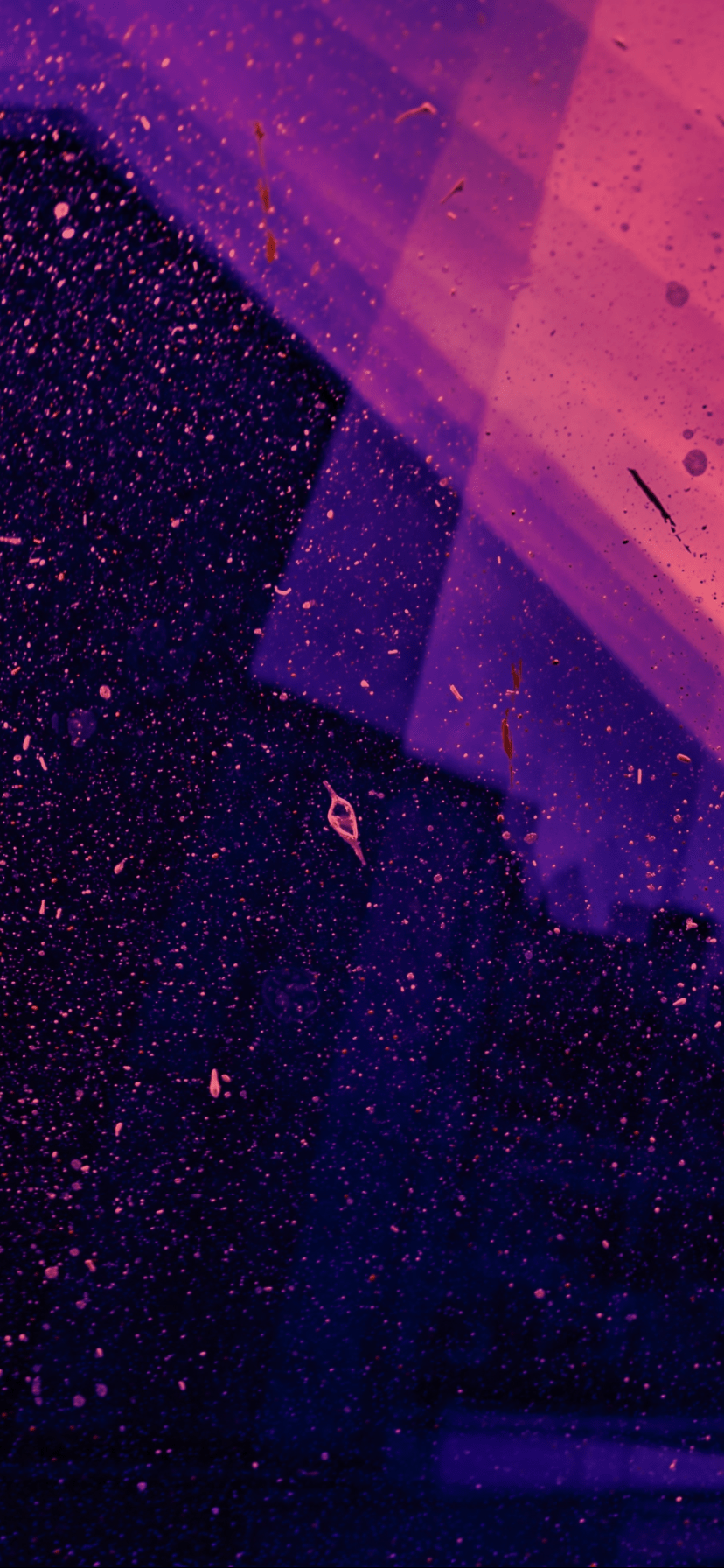 828x1792 Cute iPhone Home Screen Wallpaper .com