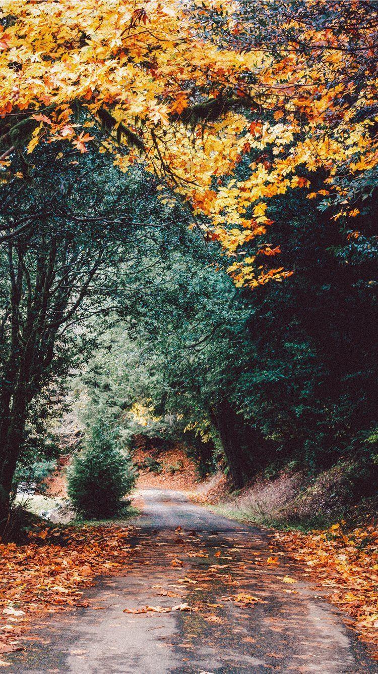 750x1334 Elk River Campground Port Orford United States iPhone 8 Wallpaper Free Download