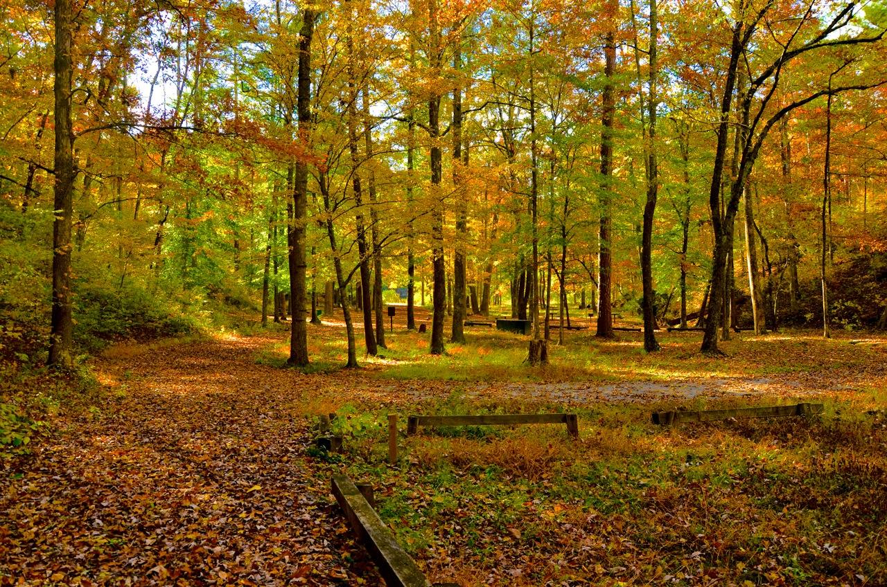 1280x848 U.S. Forest Service Defies Public Comments, Closes Lake Chinnabee Campground Permanently. The Locust Fork News Journal