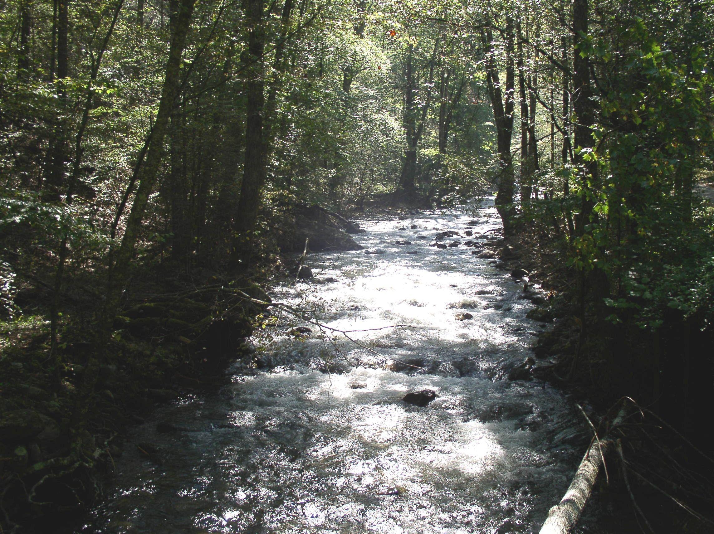 2288x1712 George Washington & Jefferson National Forests Creek Campground