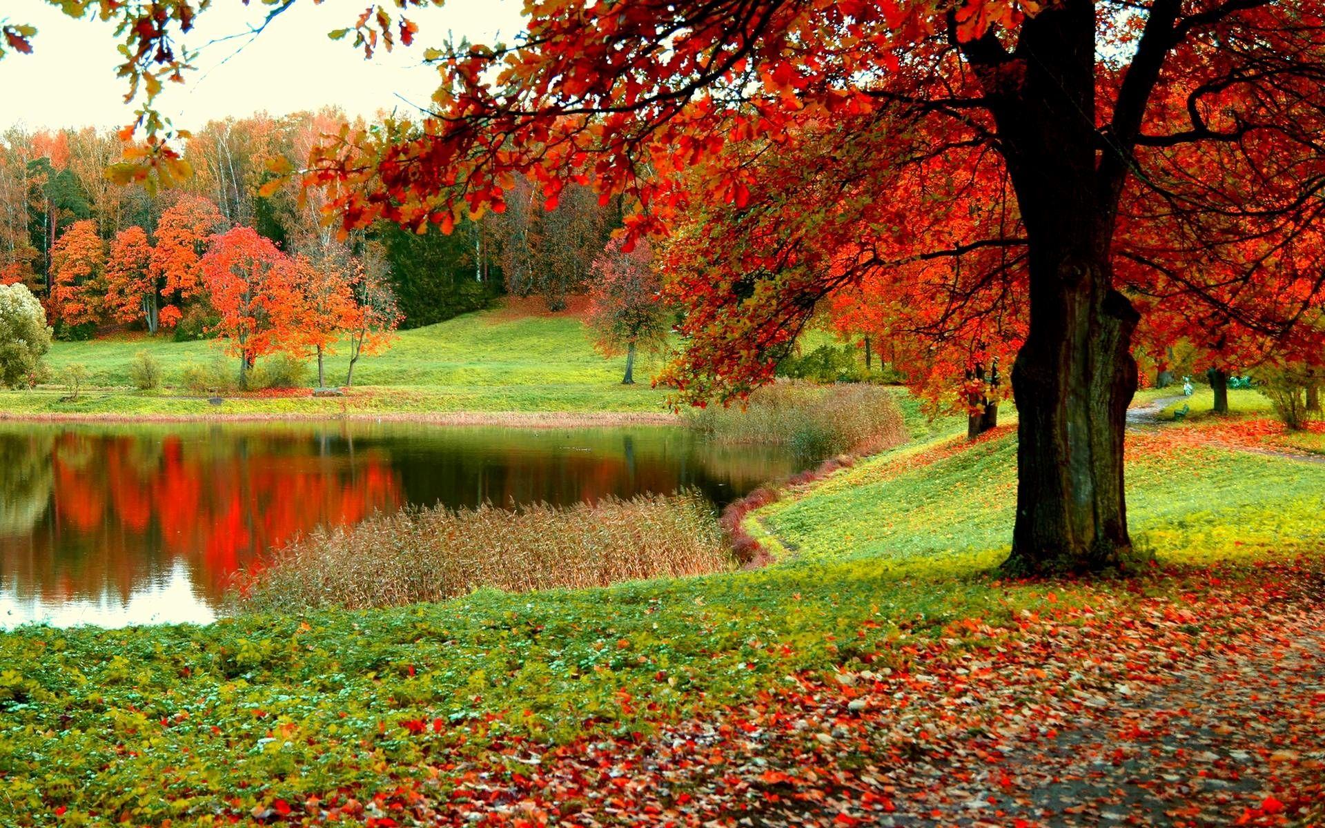 1920x1200 fall lake national forest campground Archives of The Hudson