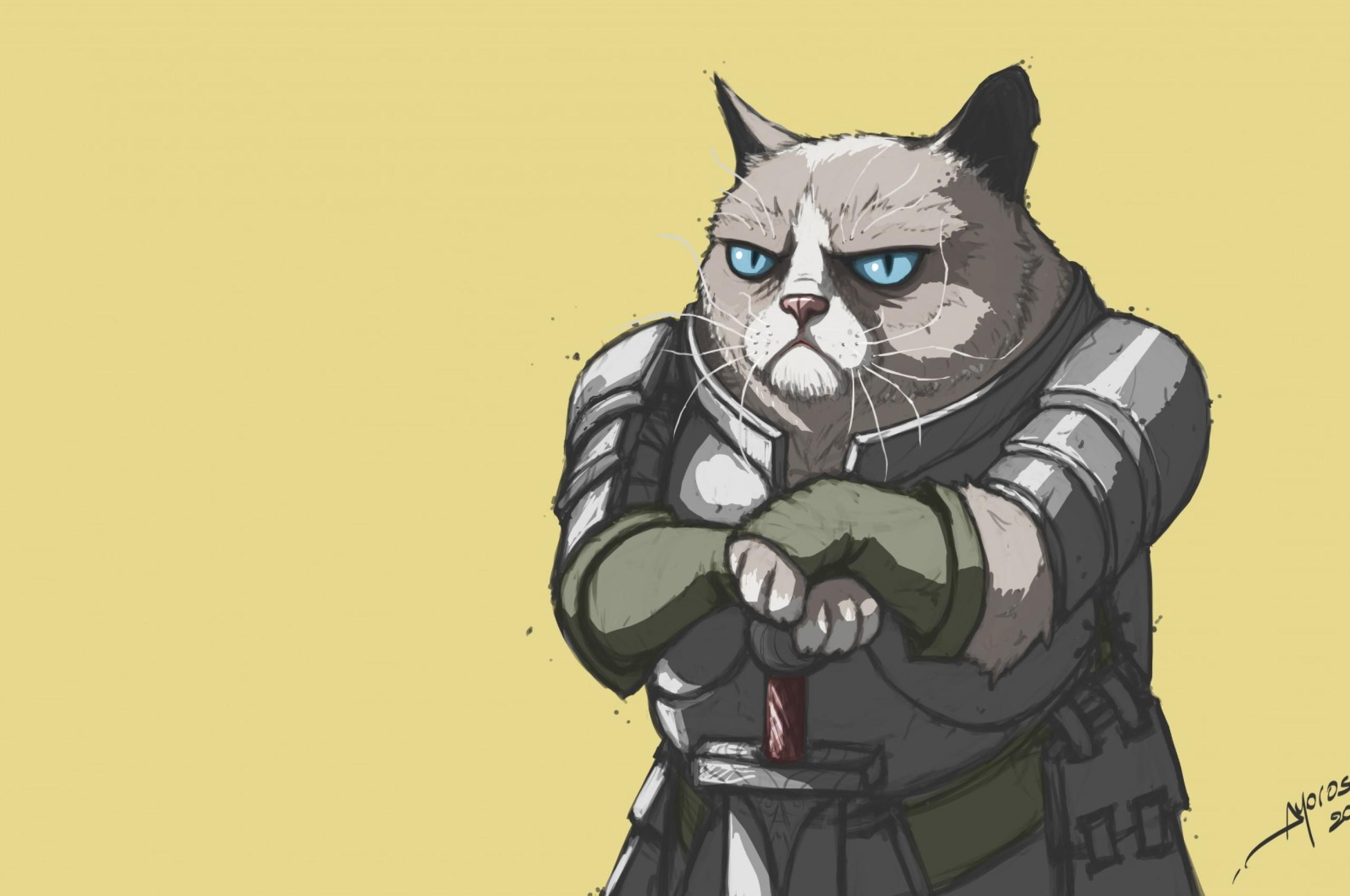 2560x1700 grumpy cat, armor, meme Chromebook Pixel Wallpaper, HD Vector 4K Wallpaper, Image, Photo and Background