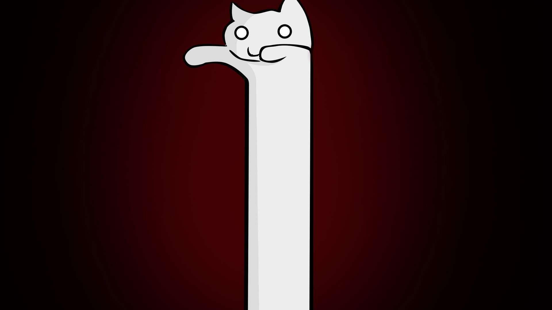 1920x1080 Cat Meme Wallpaper 1920x1080