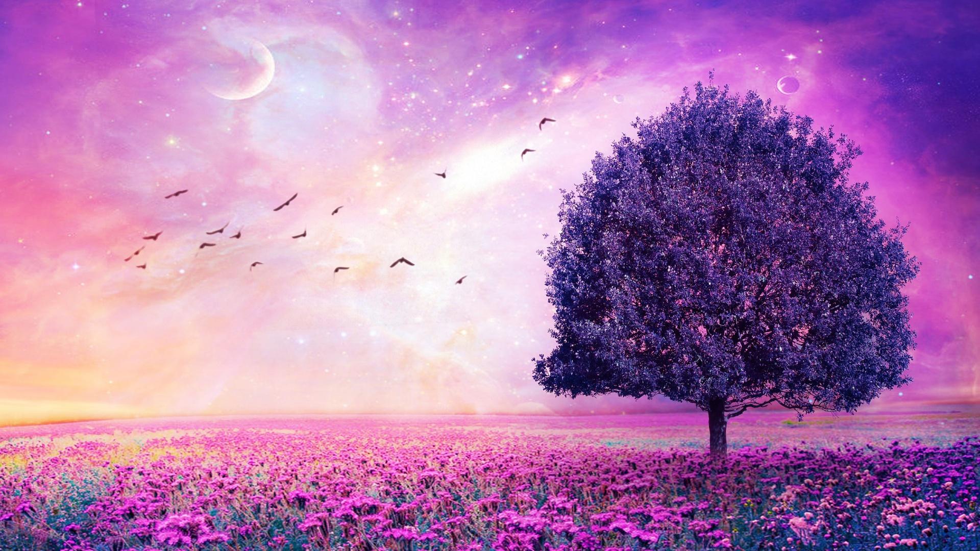1920x1080 Purple Flower Background for Desktop. Flower Wallpaper, Beautiful Sunflower Wallpaper and Flower iPhone Wallpaper