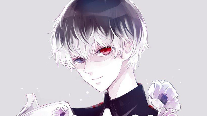 Haise Tokyo Ghoul Wallpapers - Top Free Haise Tokyo Ghoul Backgrounds ...
