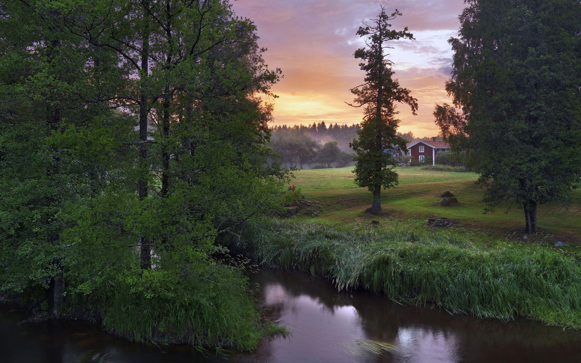 1920x1200 Swedish Summer Nature Wallpaper HD 100% Desktop Quality Cool wallpaper. Saker att köpa, Sök, Sake