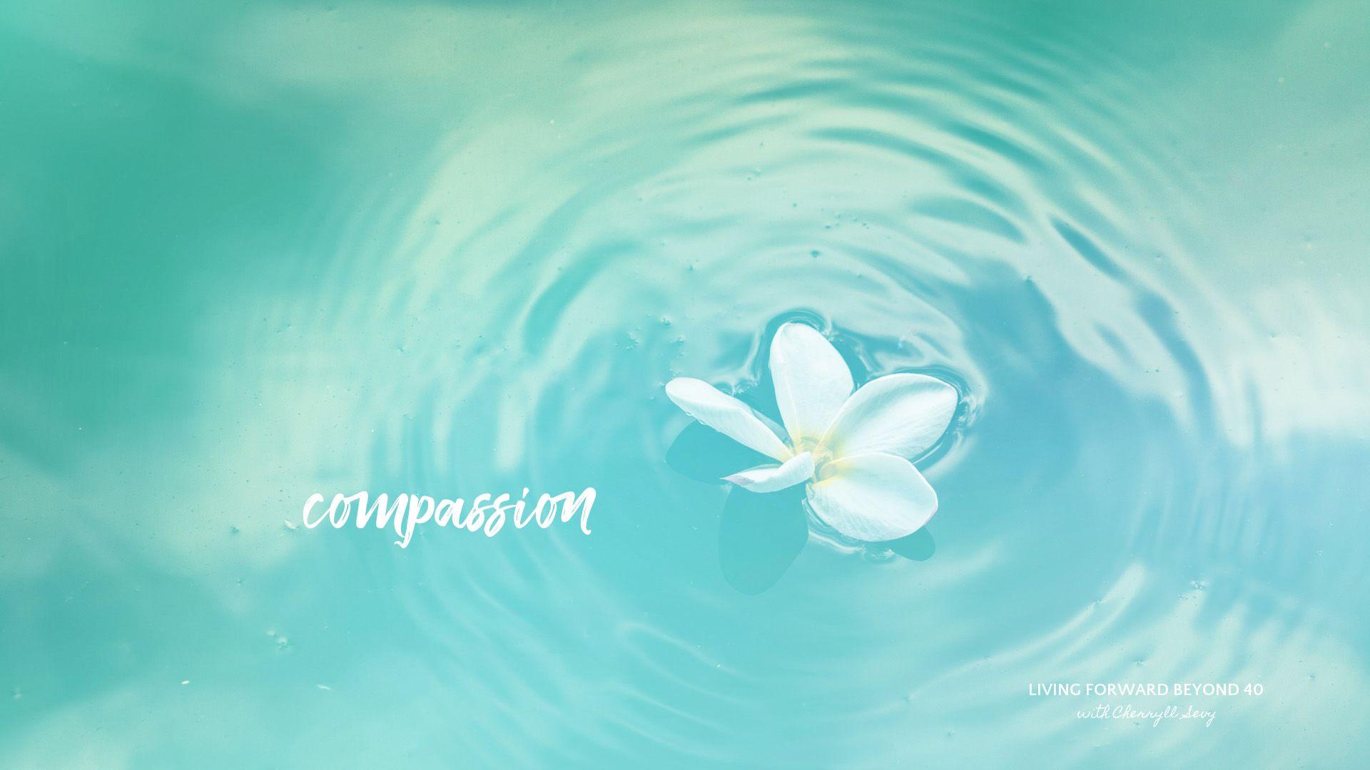 Compassion Wallpapers - Top Free Compassion Backgrounds - WallpaperAccess