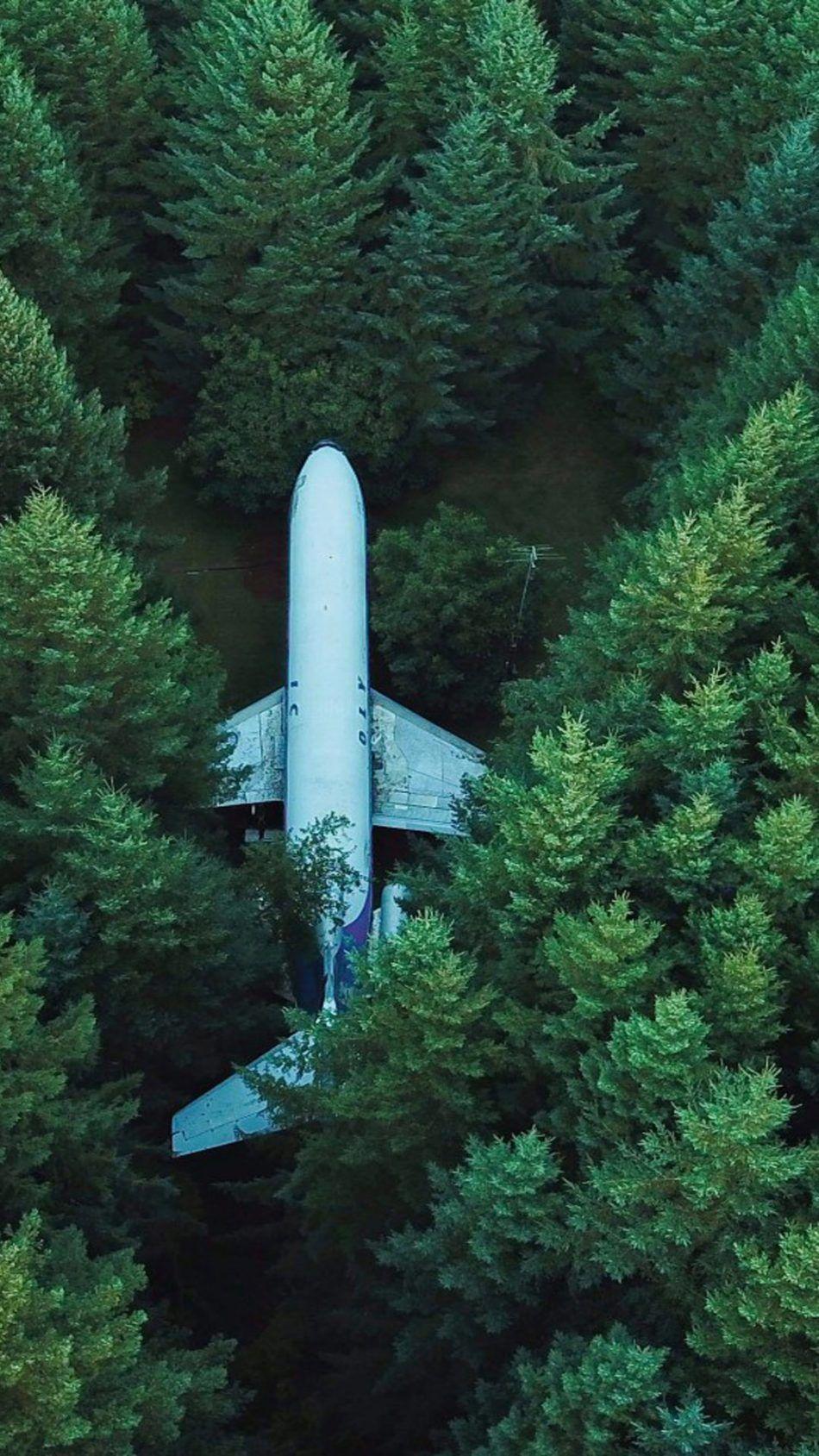 950x1689 Plane Aircraft Forest Surrounded 4K Ultra HD Mobile Wallpaper