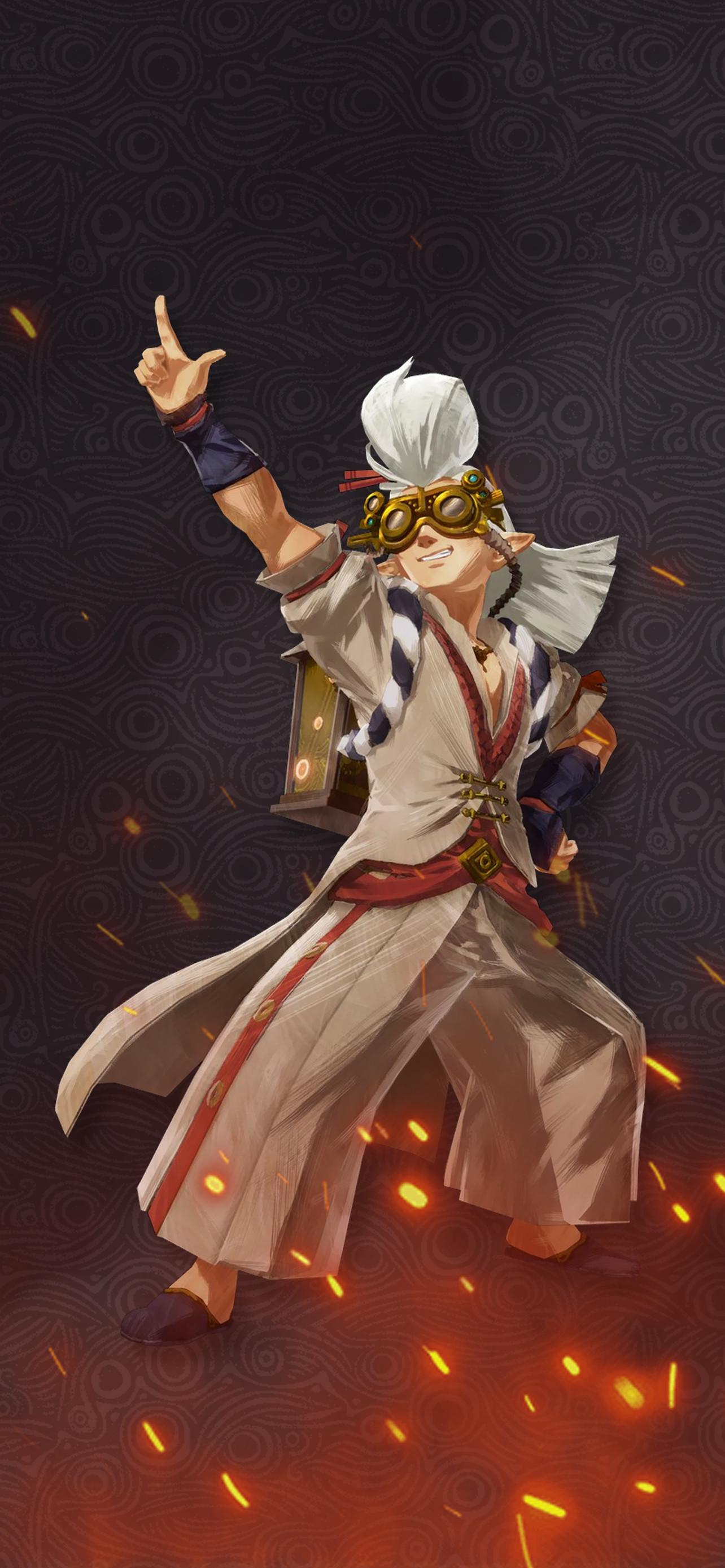 1284x2778 Hyrulewarriors Ac Robbie 01 1284x2778. Cat With Monocle