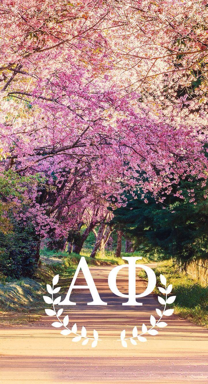 722x1334 Alpha Phi Wallpaper. Alpha phi crafts, Alpha phi, Sorority inspiration