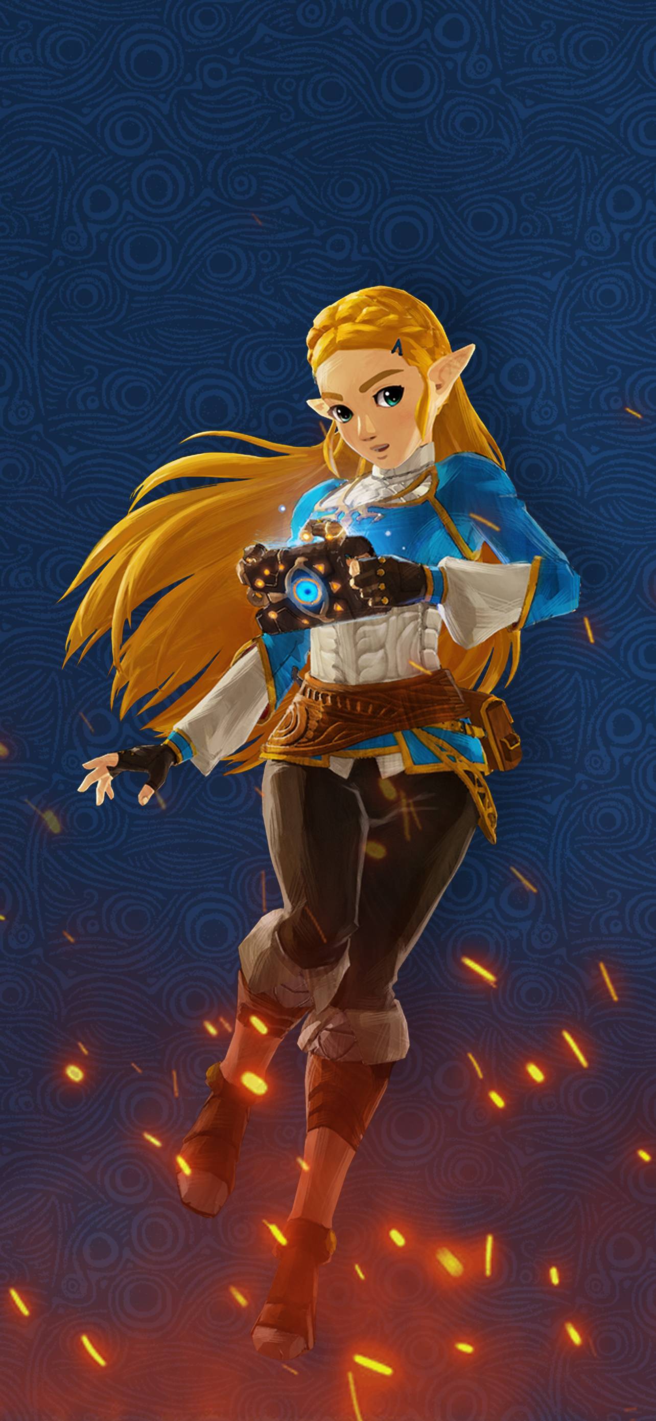 1284x2778 Hyrulewarriors Ac Zelda 01 1284x2778. Cat With Monocle