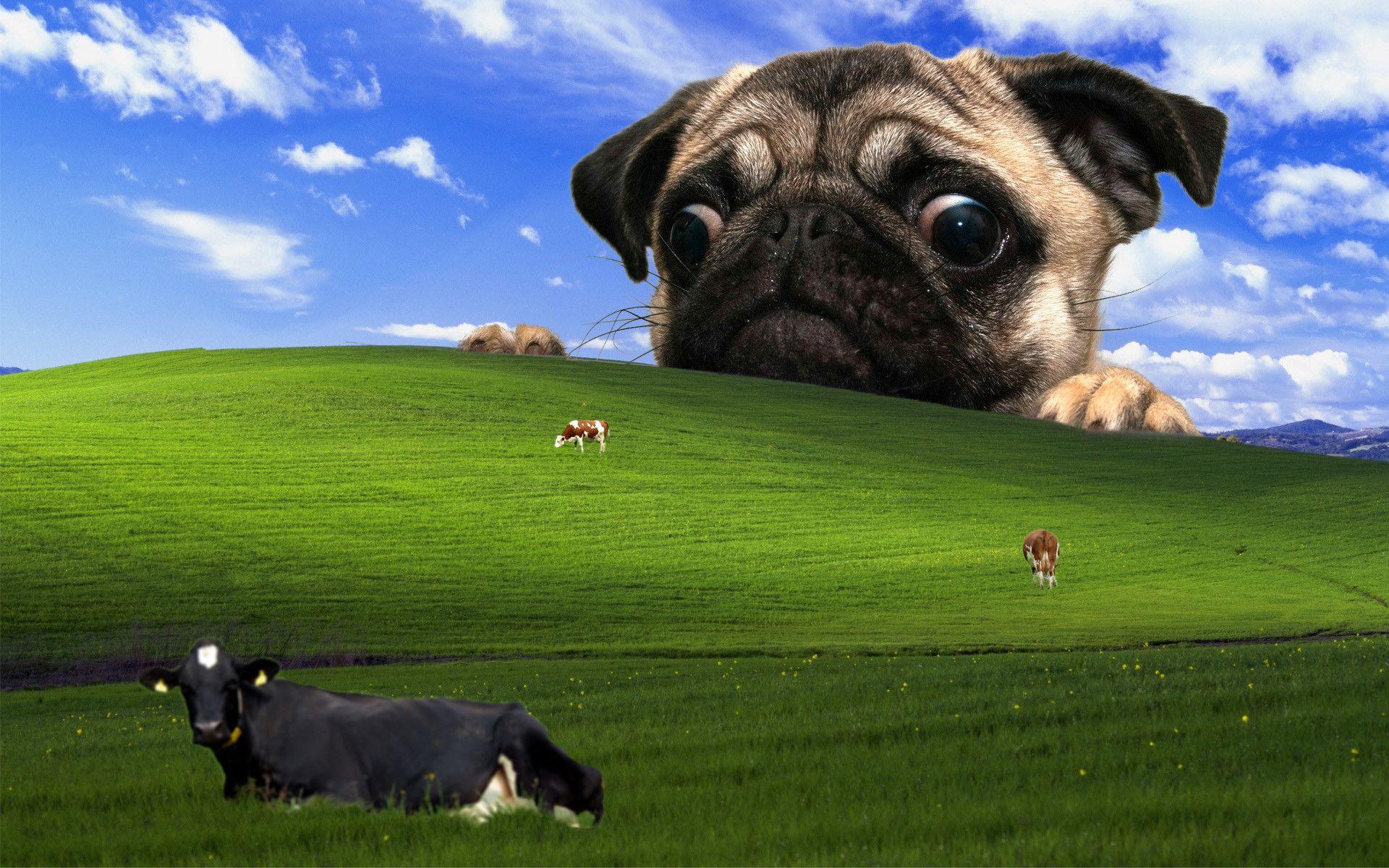 1920x1200 I'd like to share my favorite wallpaper