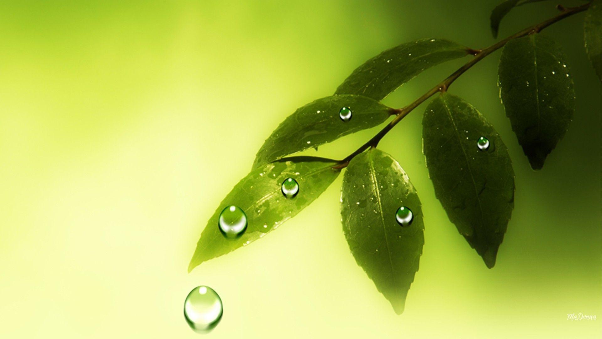1920x1080 Free download Nature Wallpaper HD Natural Health Wellness Download Widescreen [1920x1080] for your Desktop, Mobile & Tablet. Explore Health Wallpaper. Health Background, Health Wallpaper, Mental Health Wallpaper