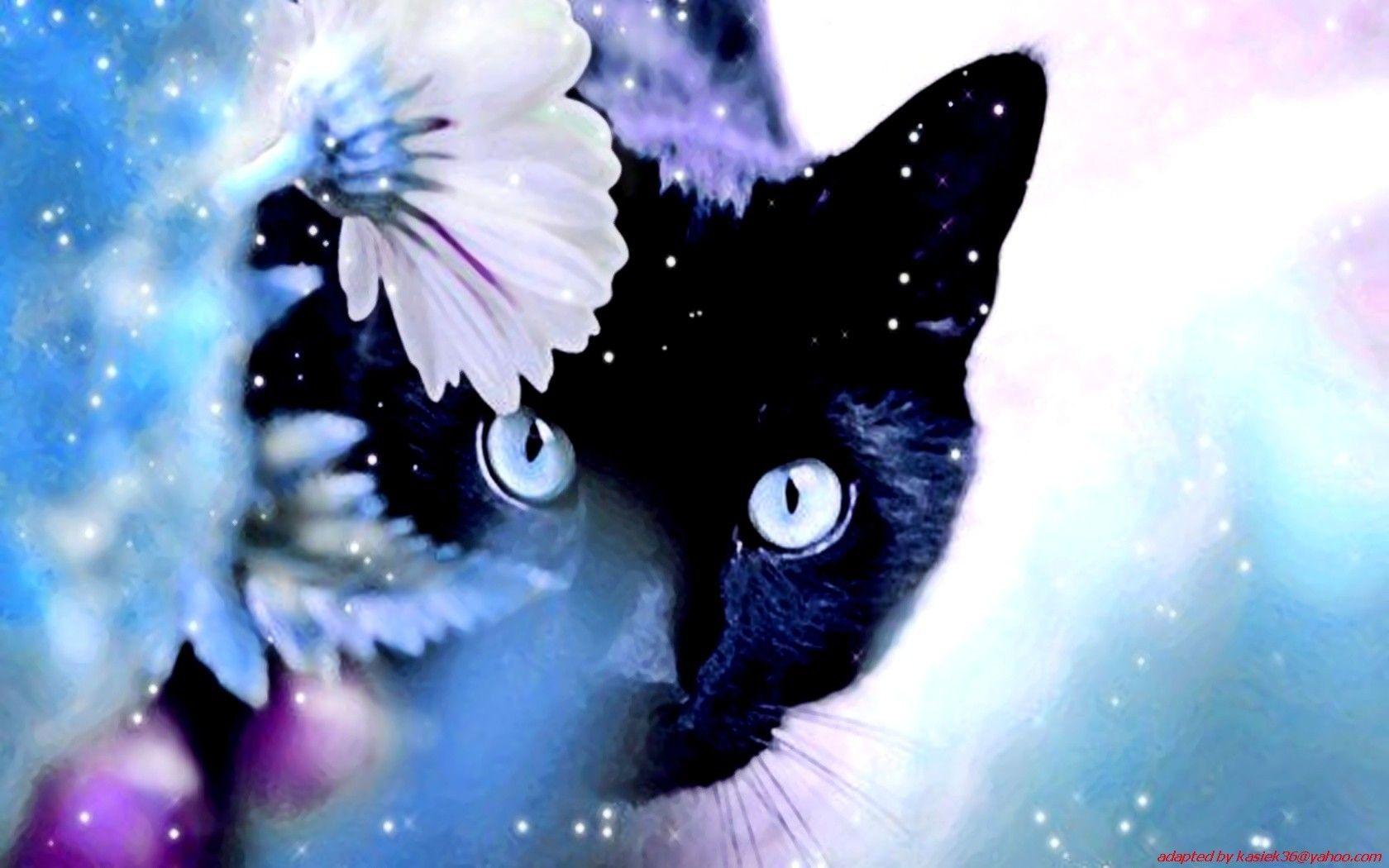 1680x1050 snow cats animals 1680x1050 wallpaper High Quality Wallpaper, High Definition Wallpaper