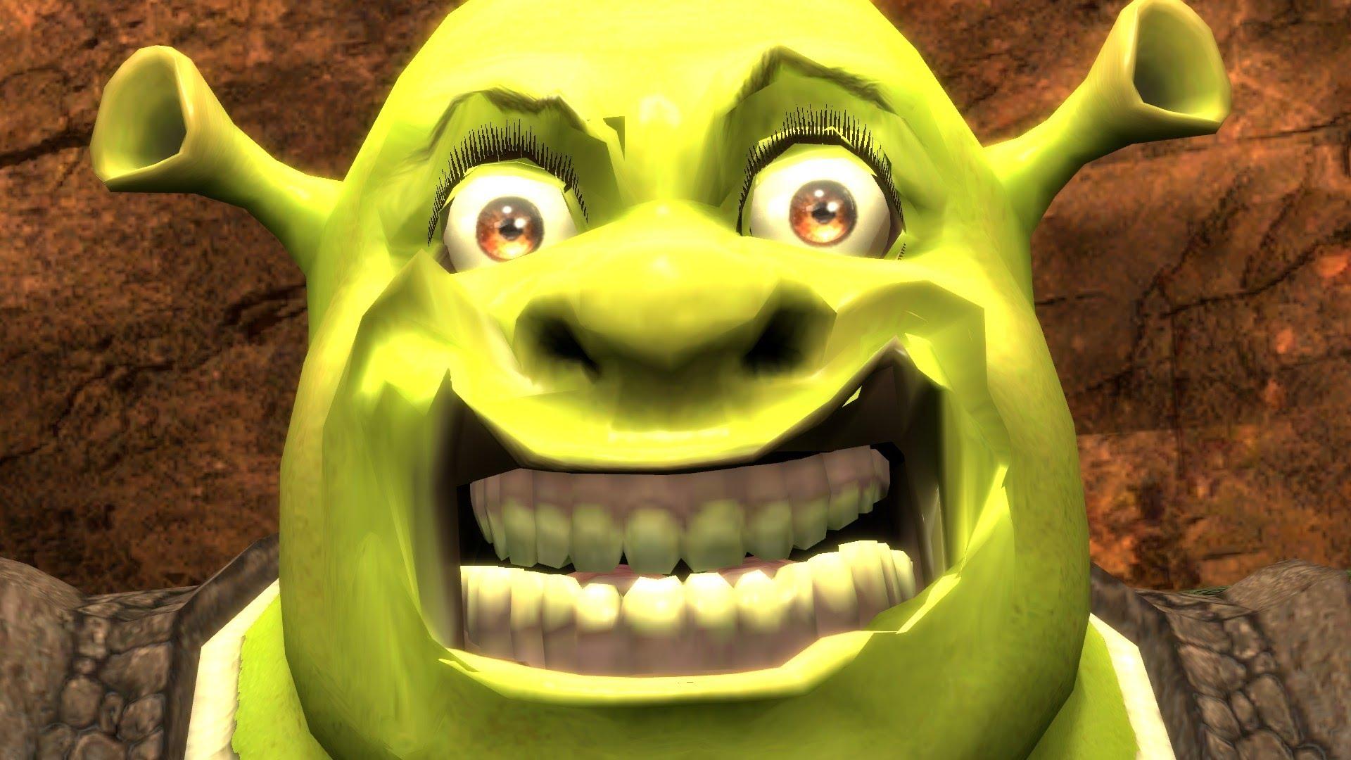 shrek 👀 meme wallpaper  Funny lockscreen, Funny iphone wallpaper