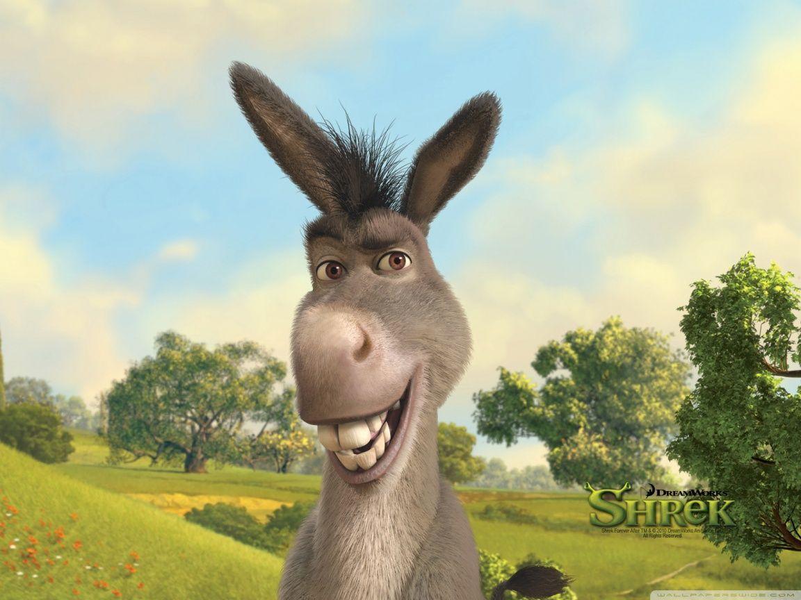 1152x864 Donkey, Shrek The Final Chapter HD desktop wallpaper : Widescreen : High Definition : Fullscreen : Mobile. Shrek, Cartoon background, Shrek memes