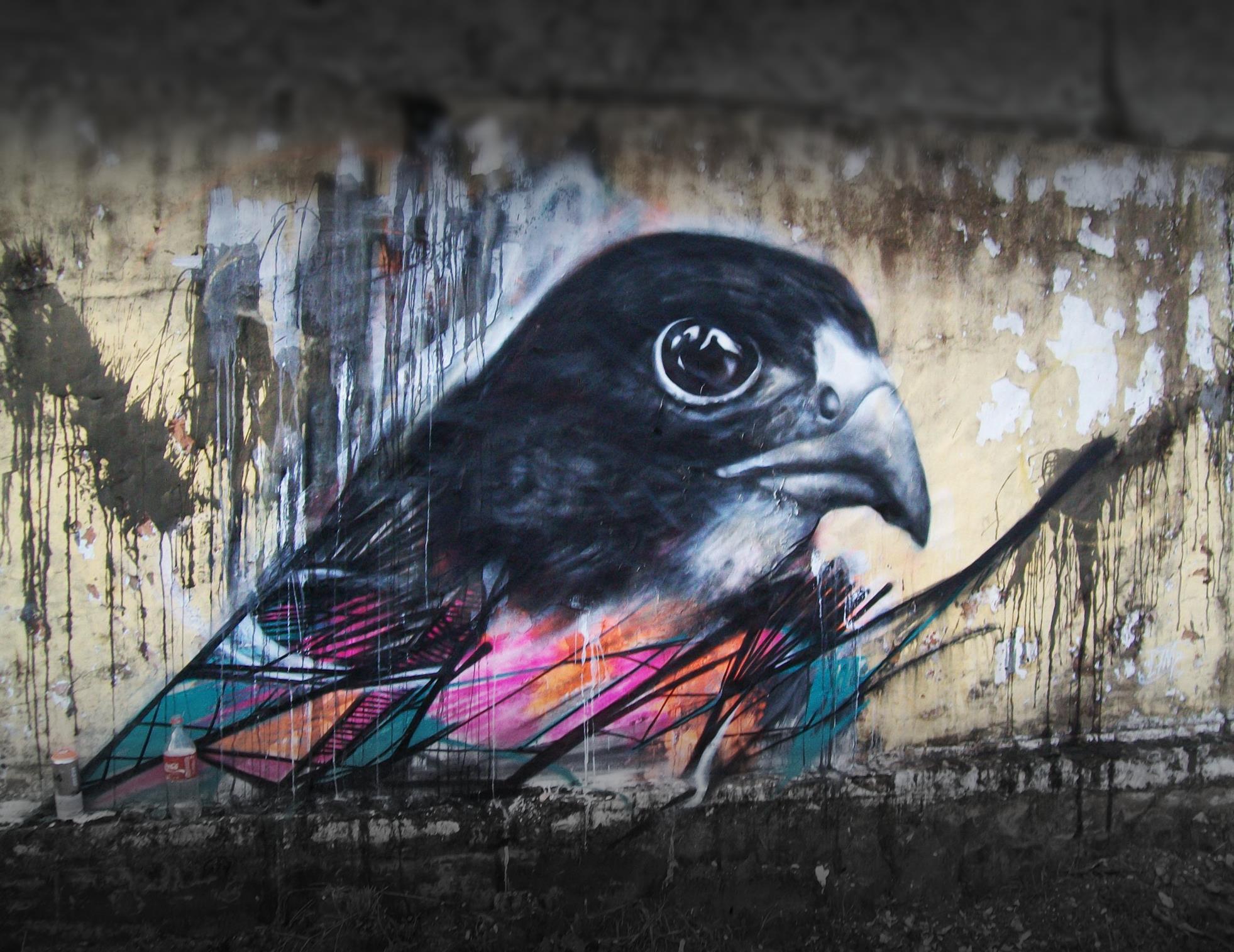 1963x1514 Graffiti Birds by Brazilian Artist L7M