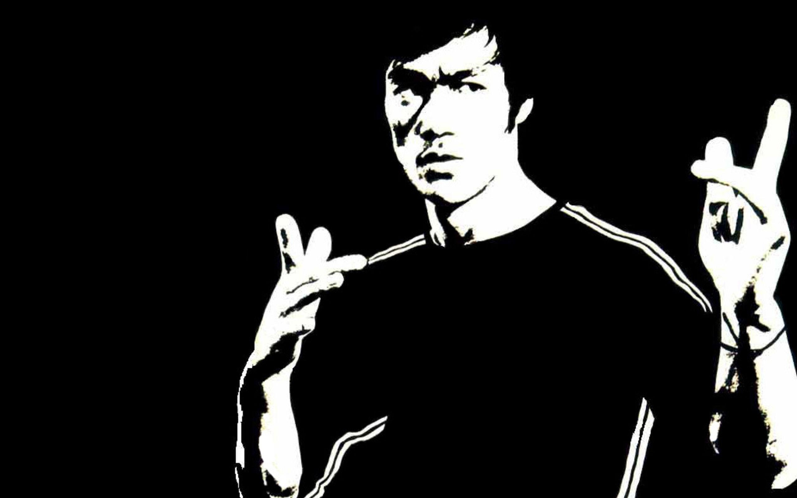 2560x1600 Bruce Lee Image Free Download
