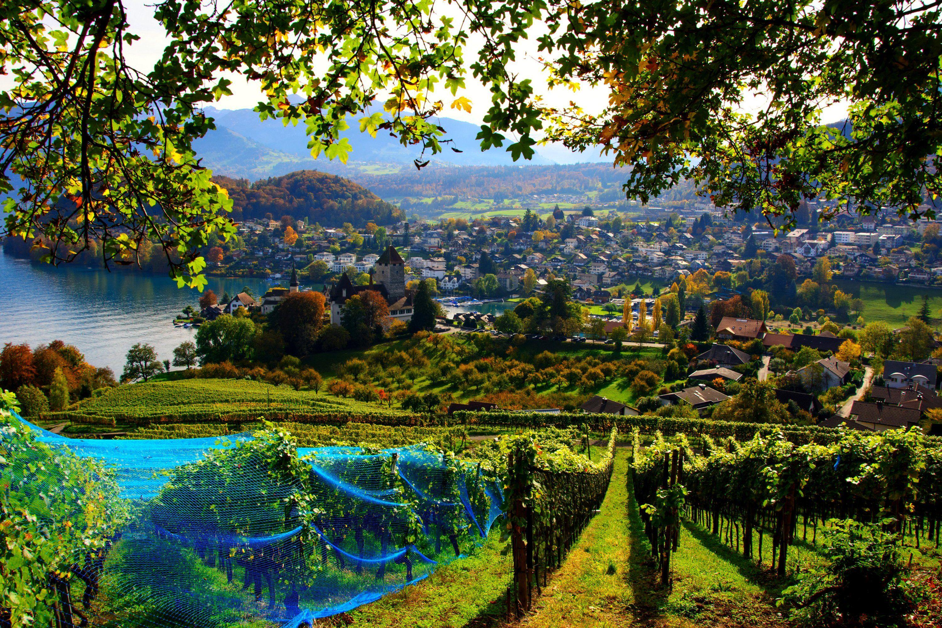 Switzerland Fall Wallpapers - Top Free Switzerland Fall Backgrounds ...