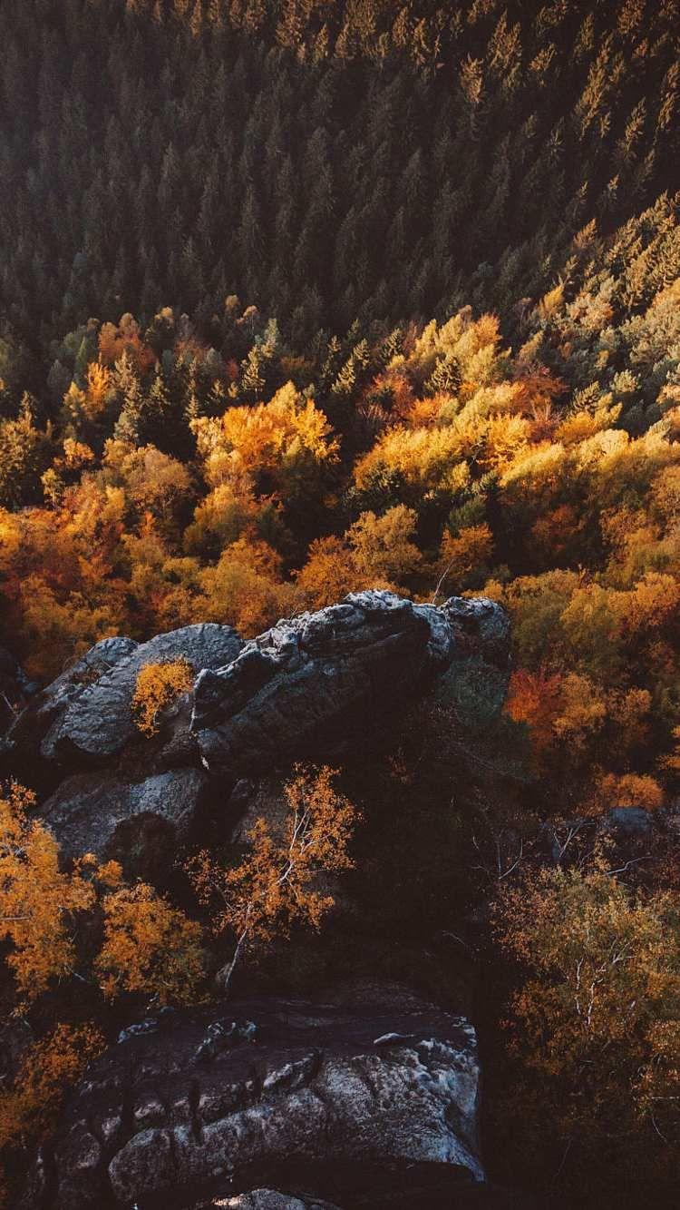 750x1333 Saxon Switzerland Trees and Mountains Wallpaper. Fall wallpaper, Mountain wallpaper, Best iphone wallpaper