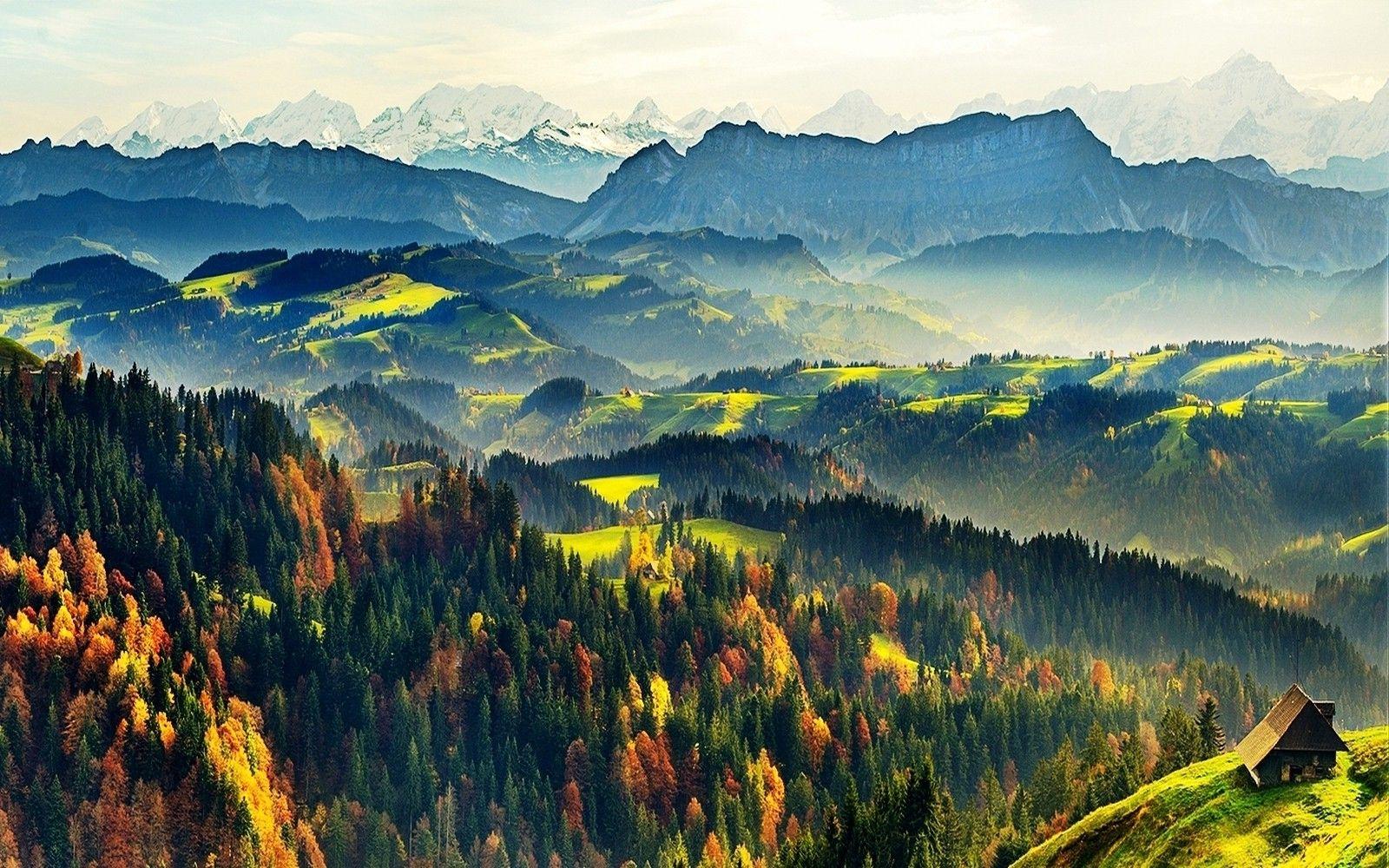 1600x1000 nature, Landscape, Cabin, Mountain, Forest, Fall, Mist, Snowy Peak, Pine Trees, Sunlight, Morning, Switzerland Wallpaper HD / Desktop and Mobile Background