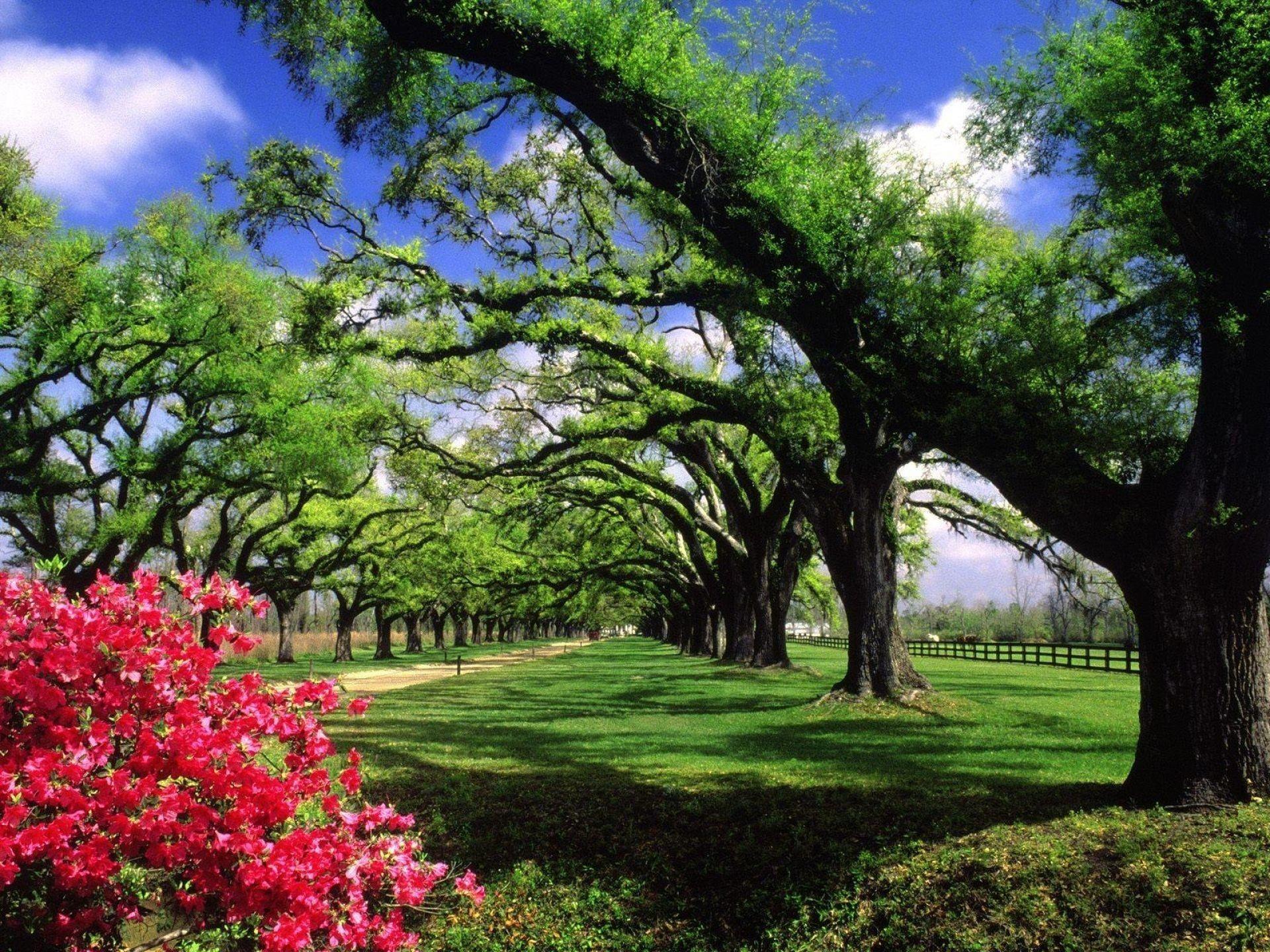 1920x1440 Nice Nature wallpaper [1920X1440]