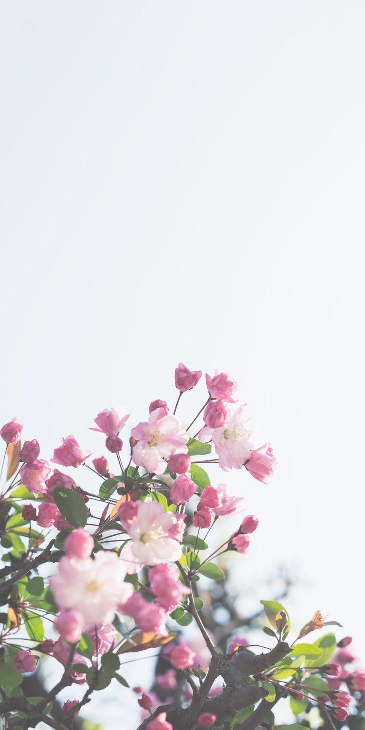 750x1500 Wallpaper for iPhone