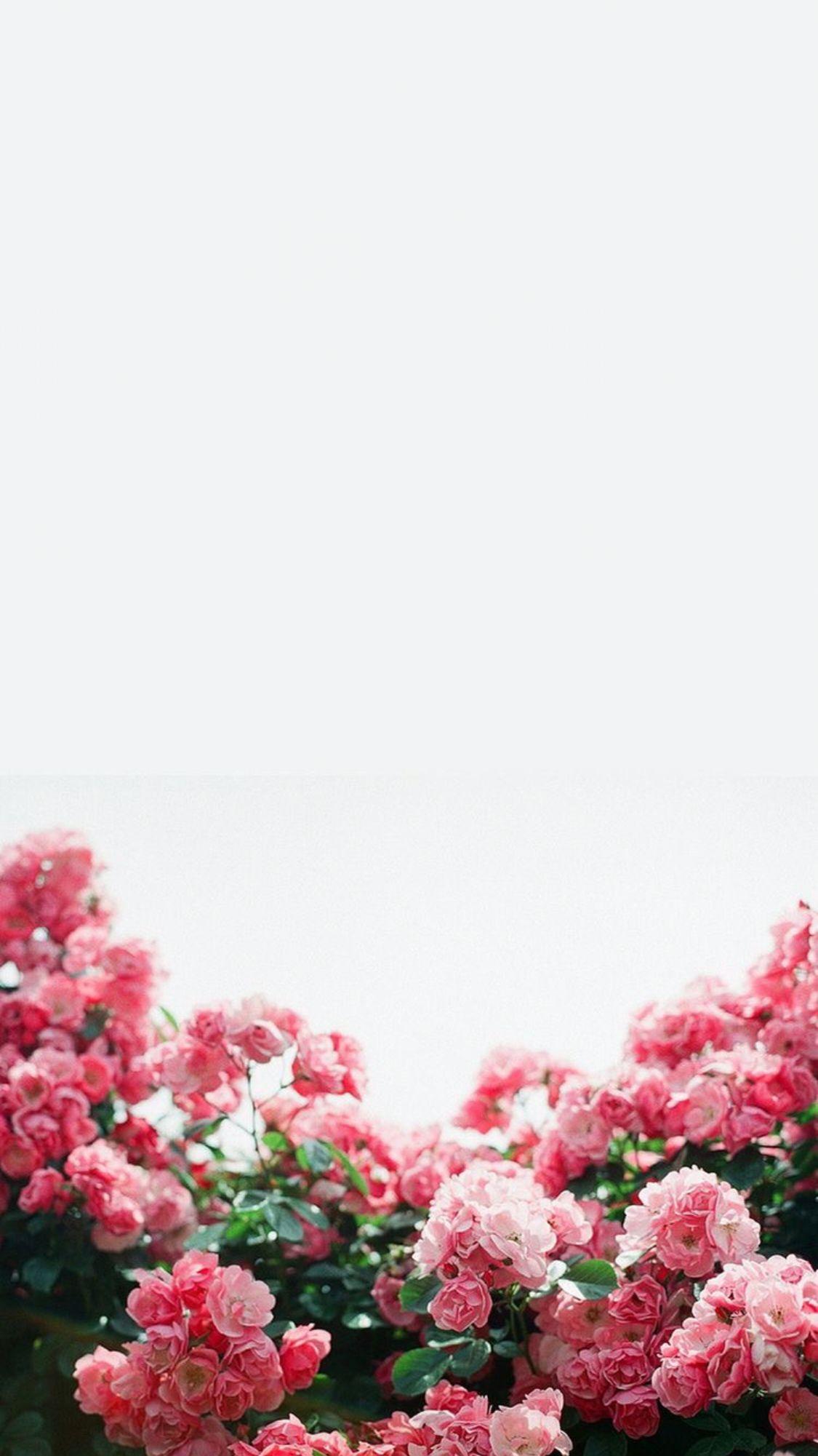 1125x2001 Dope art