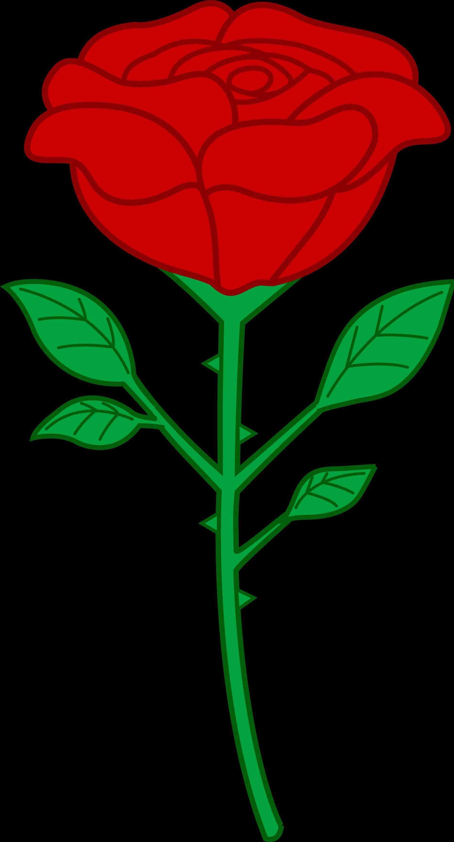 1899x3521 Red Rose White Background Tumblr