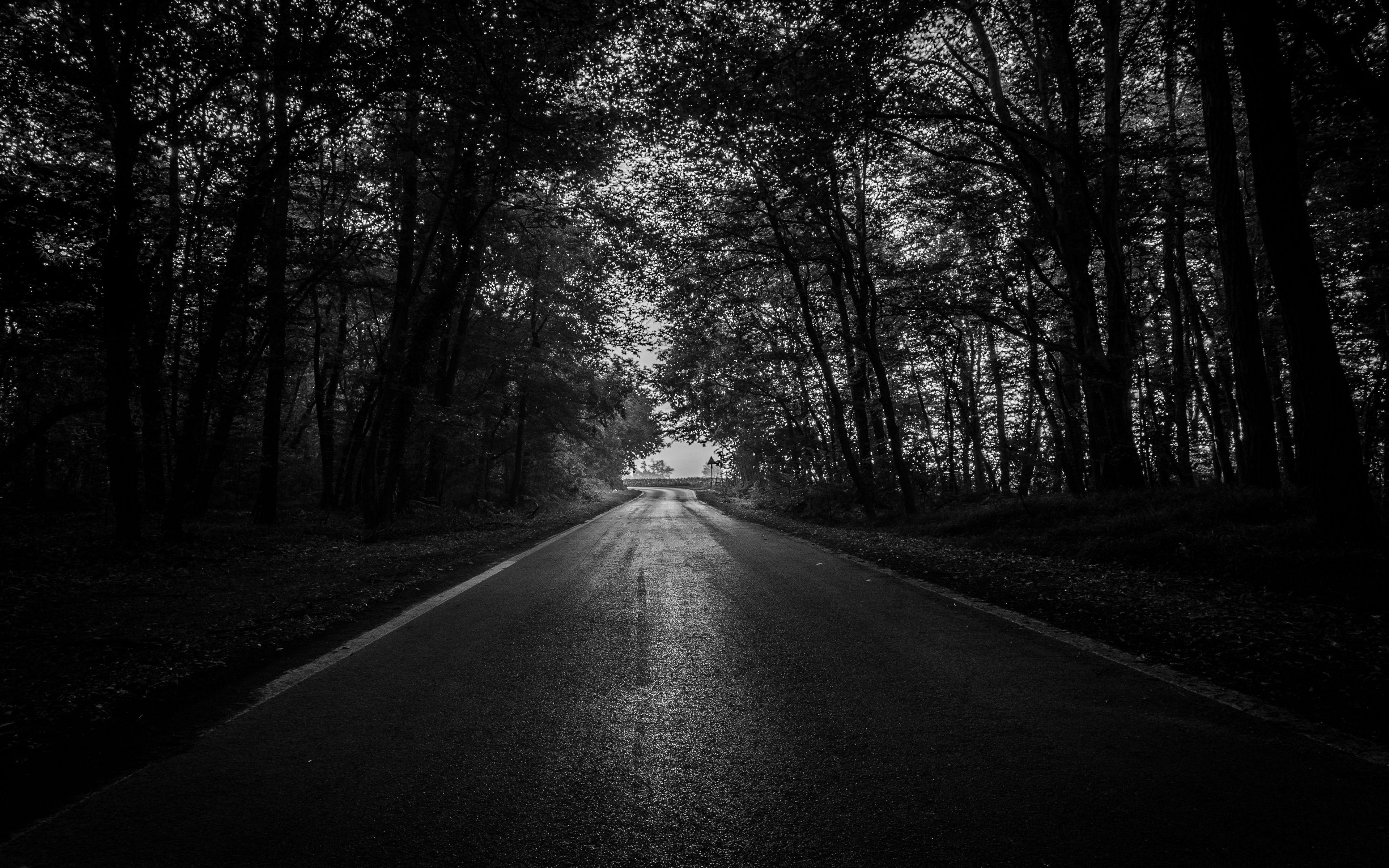 3840x2400 Deskk Forest Way Wallpaper