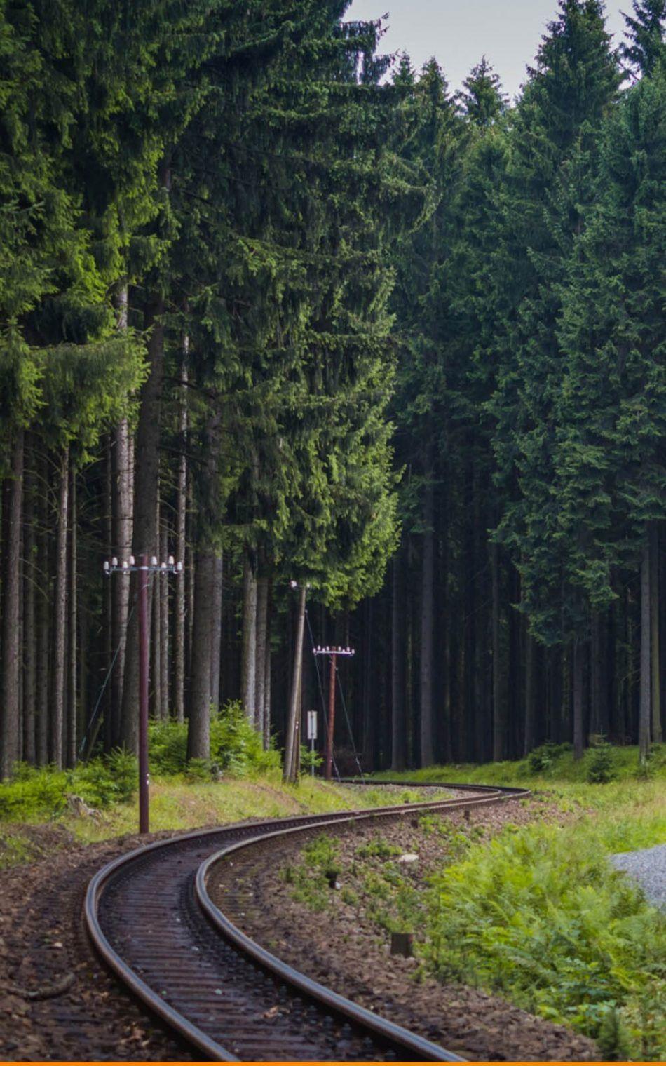 950x1520 Railway Through Deep Forest 4K Ultra HD Mobile Wallpaper