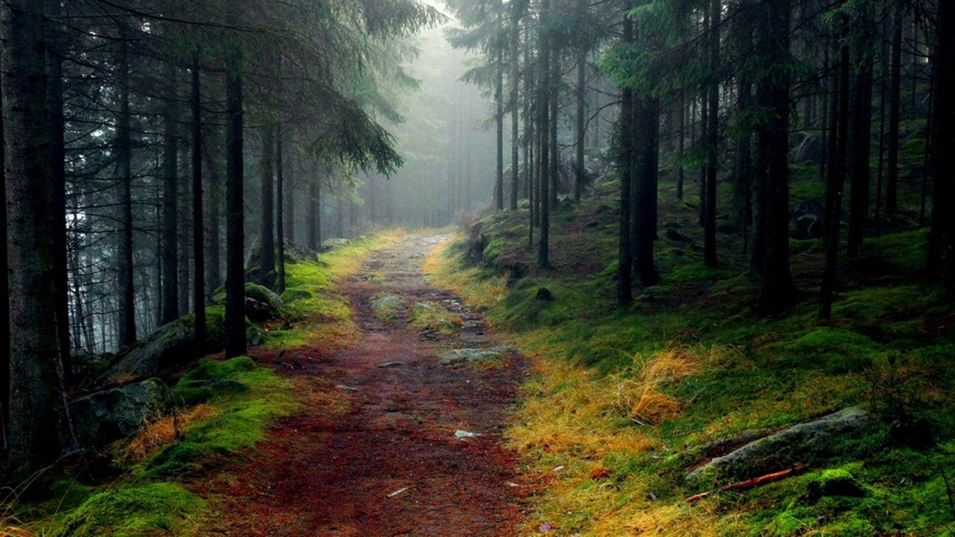 1920x1080 Amazing Norwegian Nature Wallpaper Background Wallpaper Download HD Wallpaper