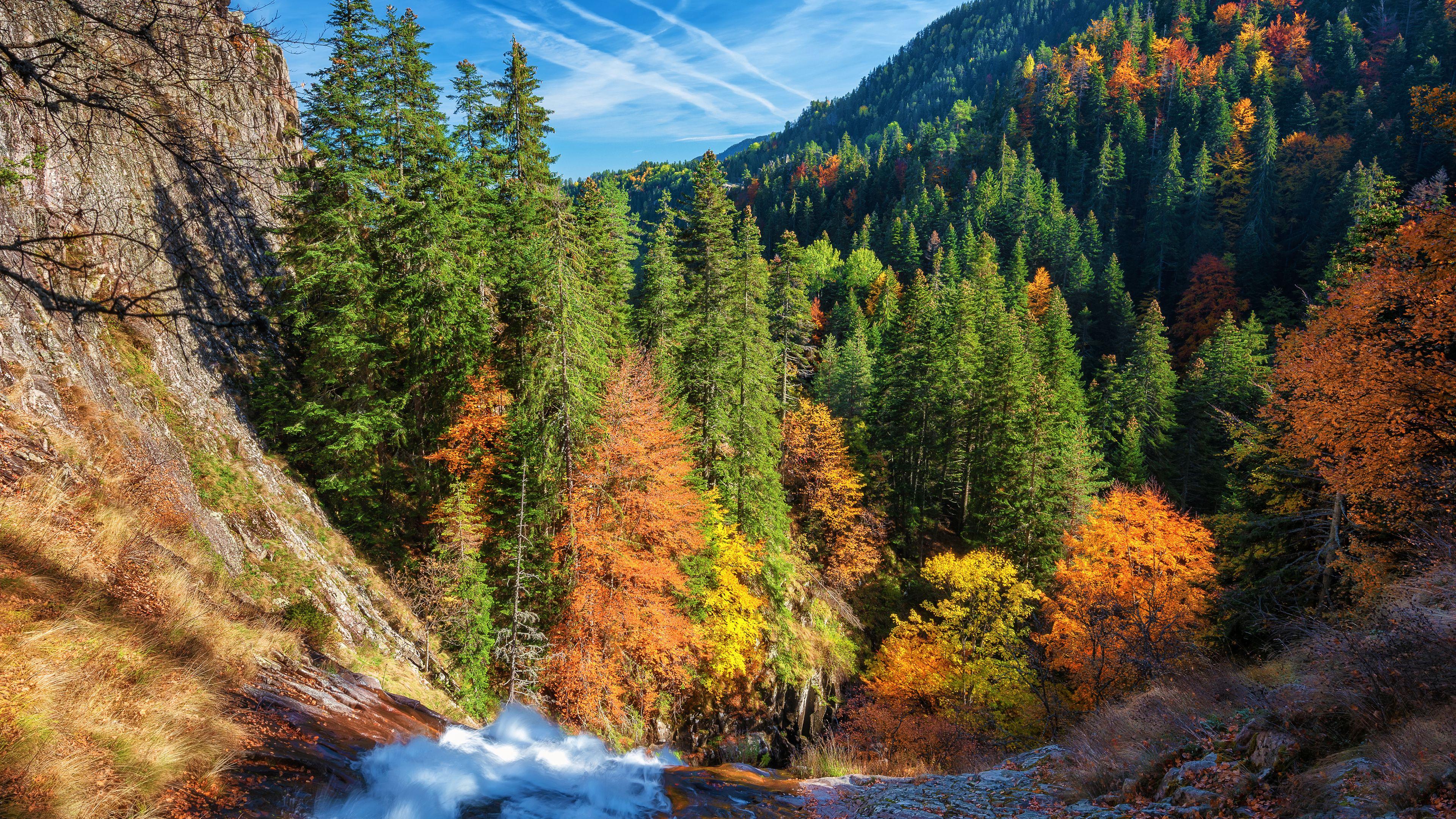 3840x2160 Autumn Forest Chromebook Wallpaper Size 3840 X 2160 Background For Chromebook Wallpaper & Background Download