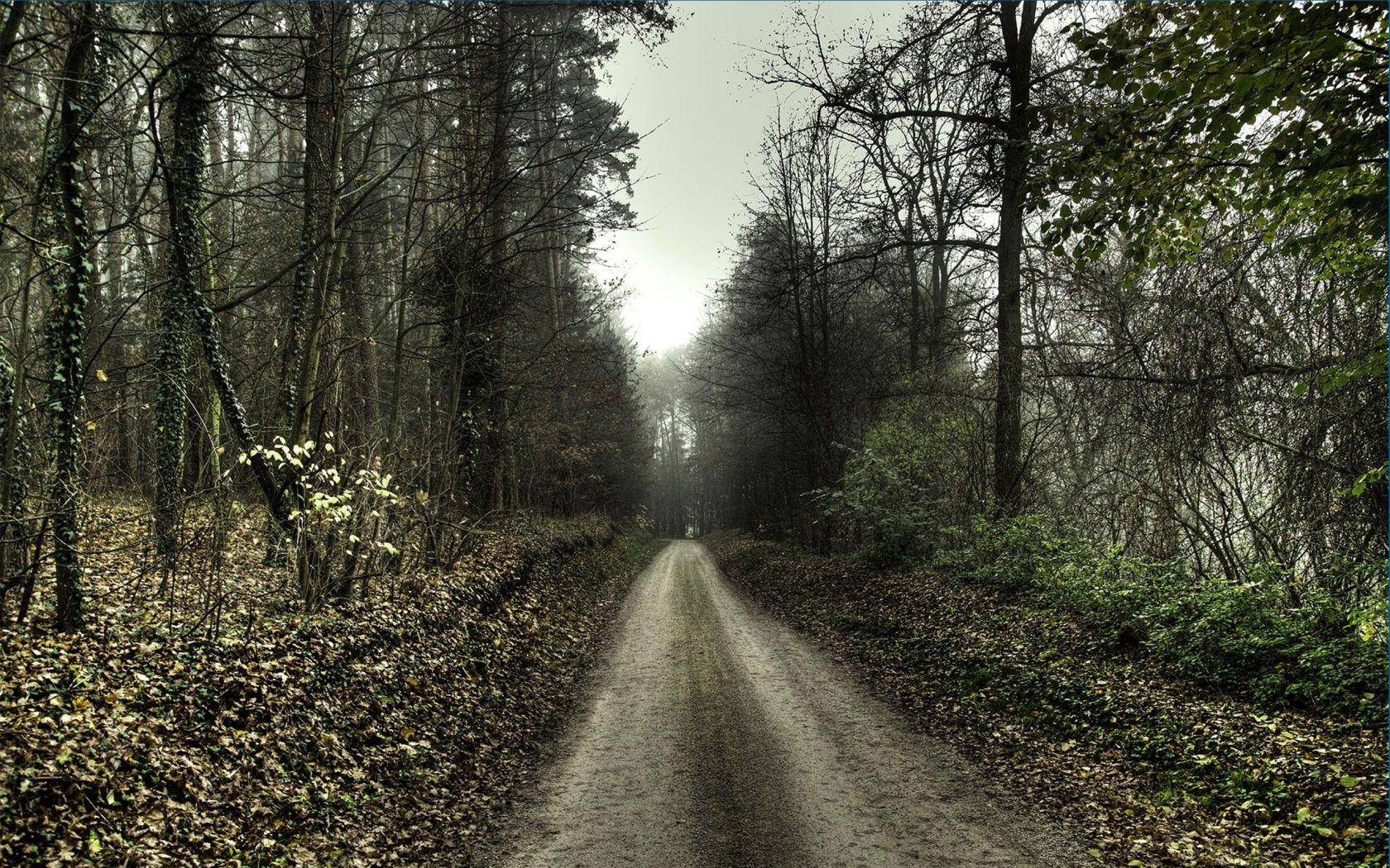 1680x1050 Haunted Forest Wallpaper